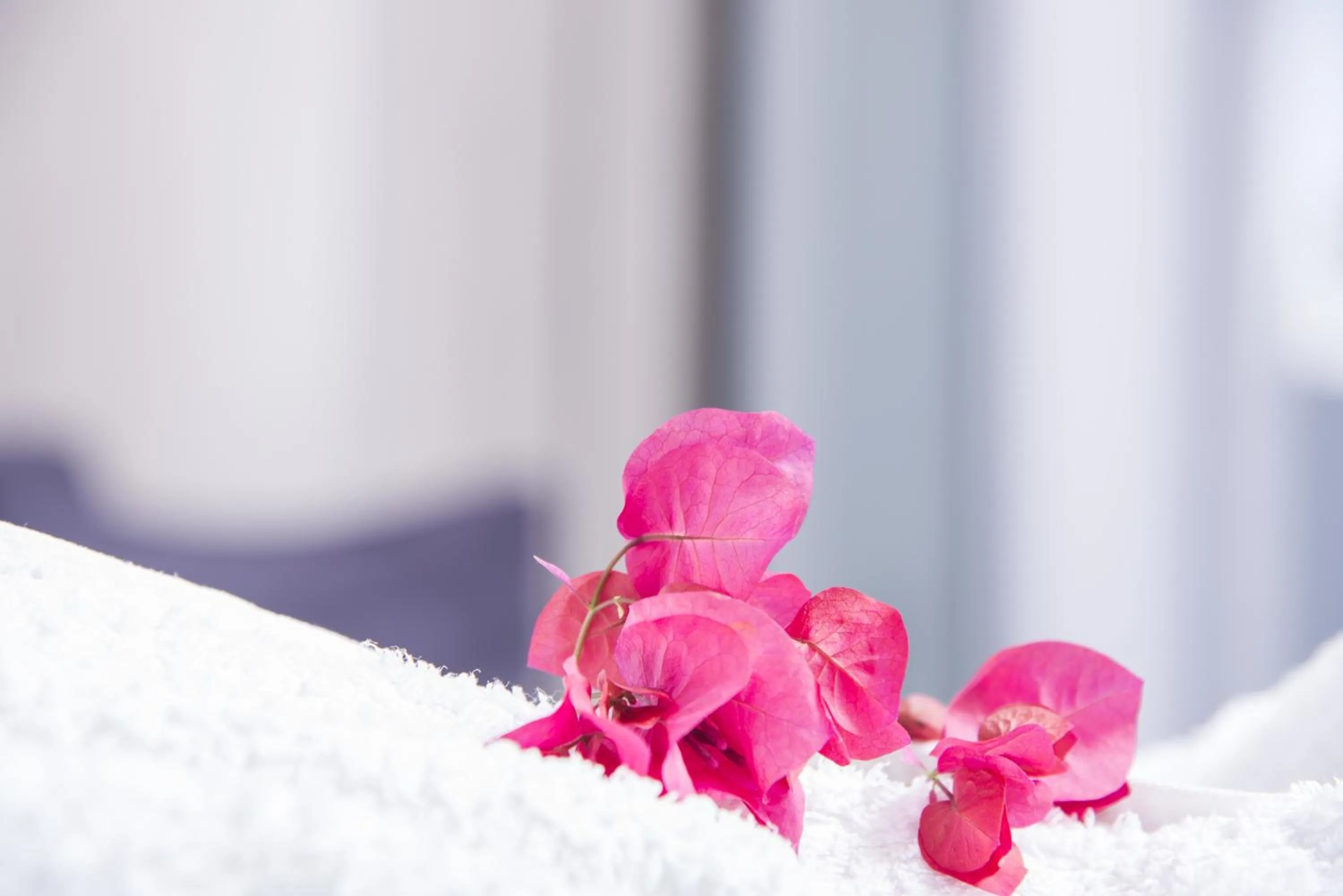 Decorative detail in Blue Waves Suites & Apartments