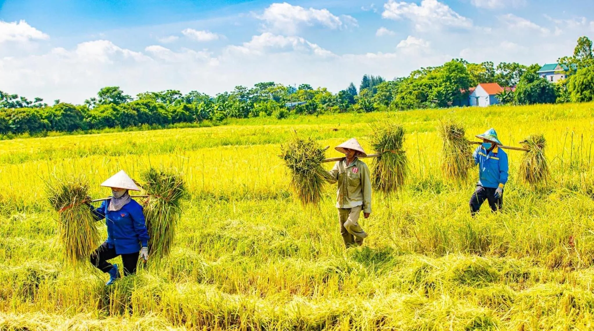 Natural landscape in Tam Coc La Montagne Resort & Spa Ninh Binh