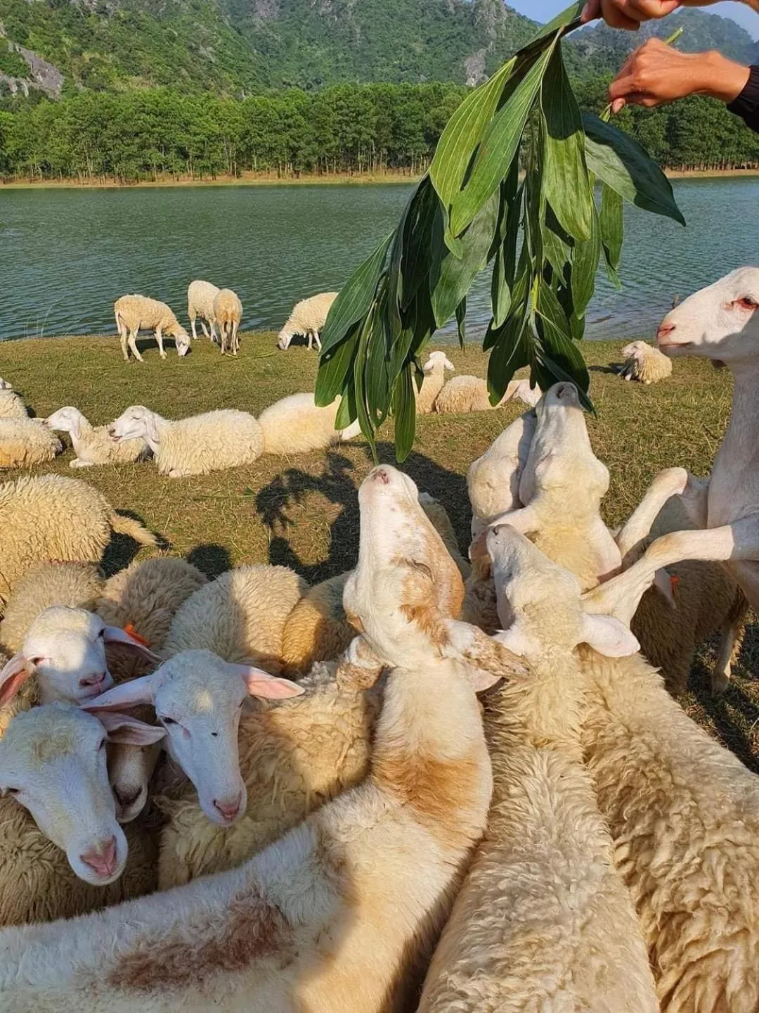 Tam Coc La Montagne Resort & Spa Ninh Binh