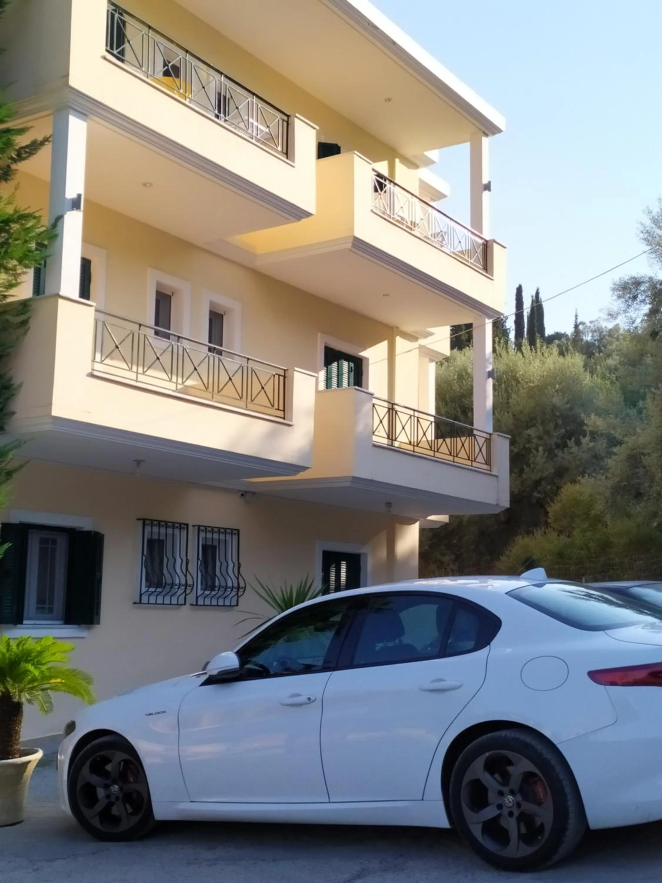 Katsenos studios