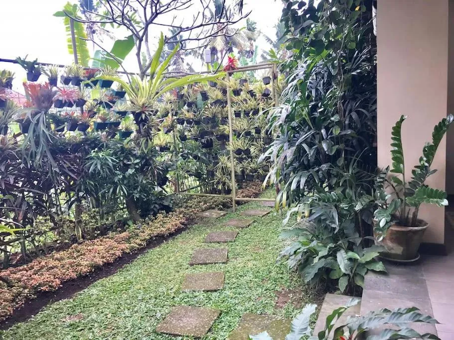 Garden view in Rumah Taman
