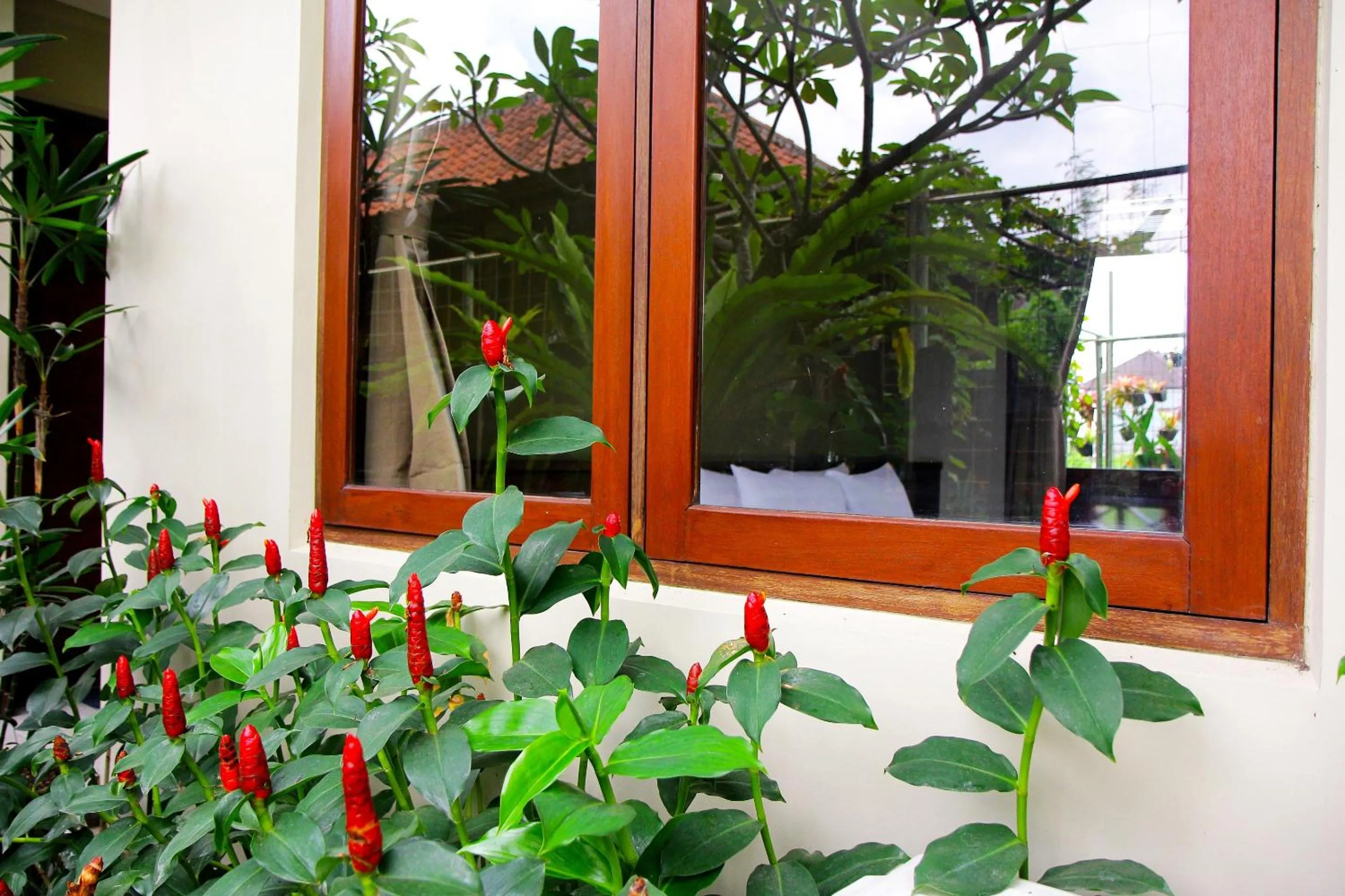 Garden in Rumah Taman