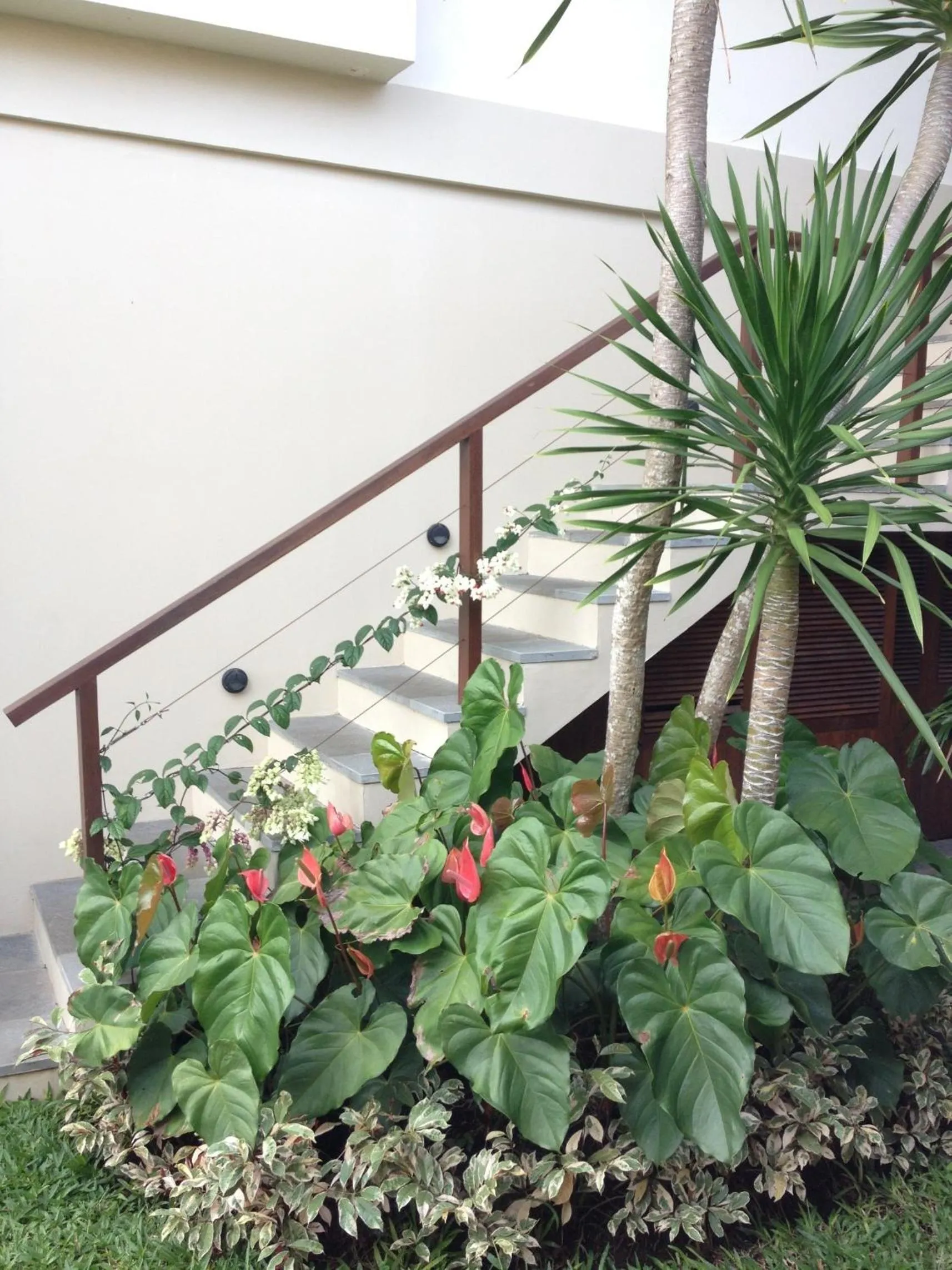 Garden in Rumah Taman