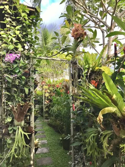 Garden view in Rumah Taman