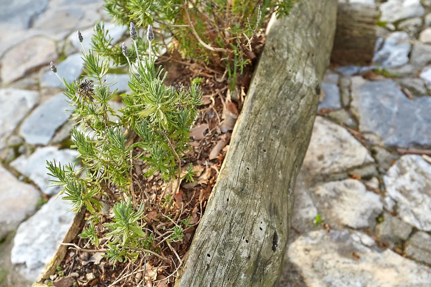 Other in Hotel Atrapos