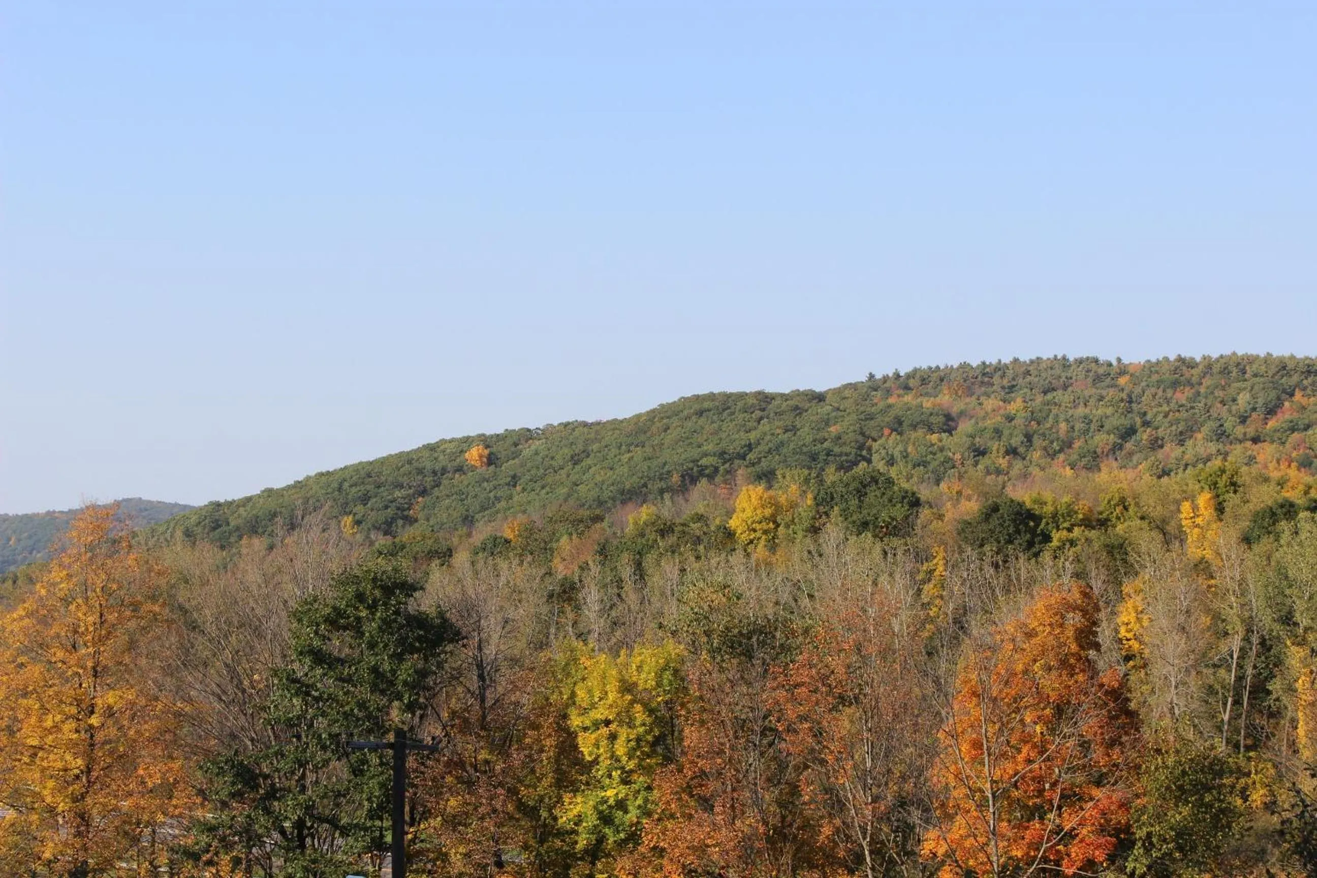 Natural landscape in Berkshire Travel Lodge