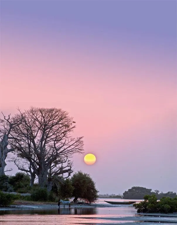 Property building in N'Danthiéné Lodge