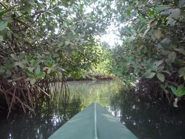 Property building in N'Danthiéné Lodge