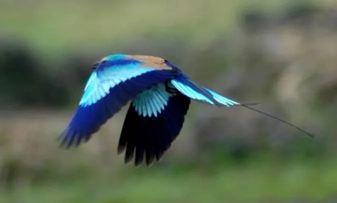 Property building in N'Danthiéné Lodge