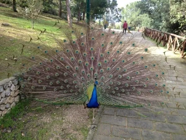 Property building in B&B Natù