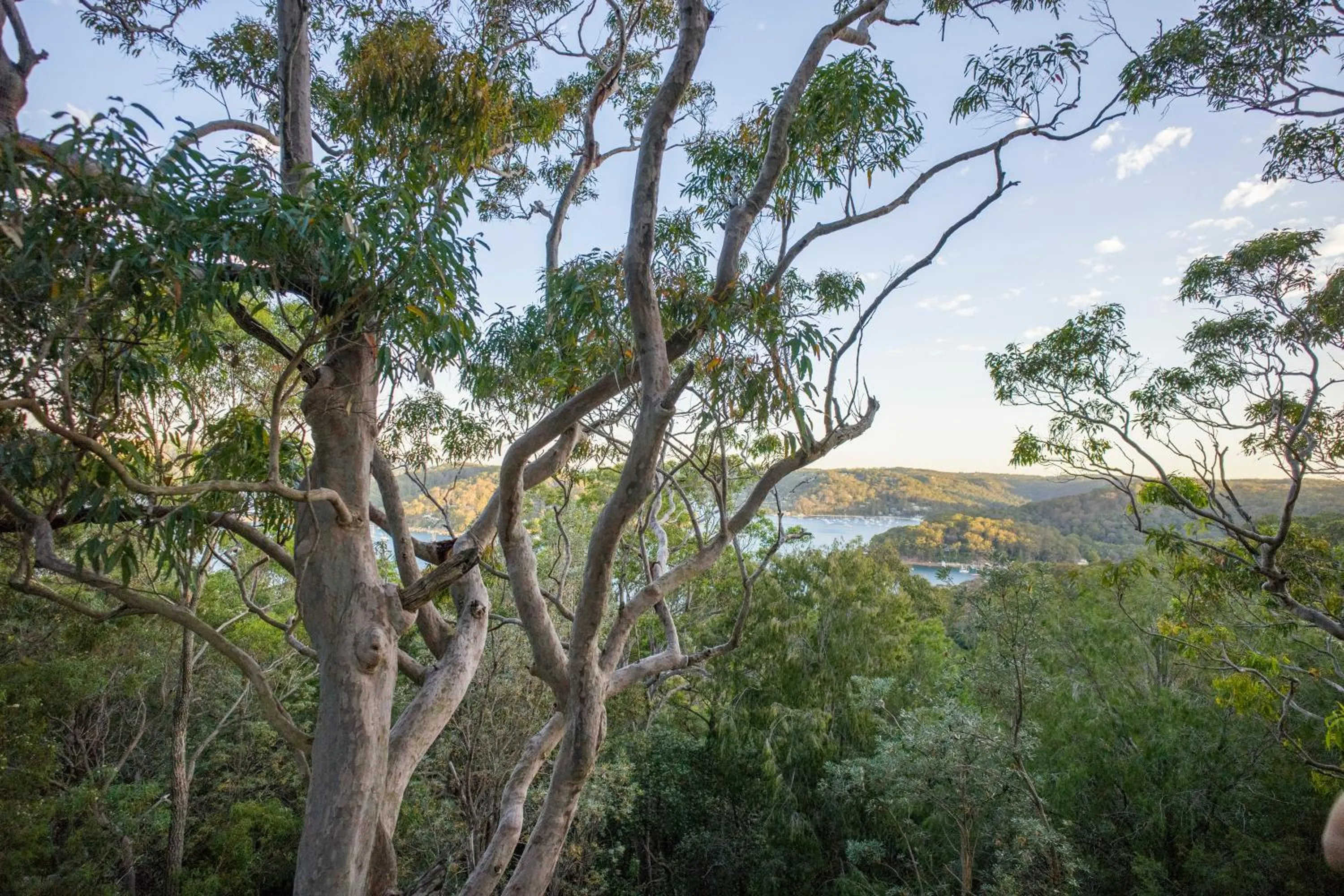 Hiking in YHA Pittwater Eco, Sydney