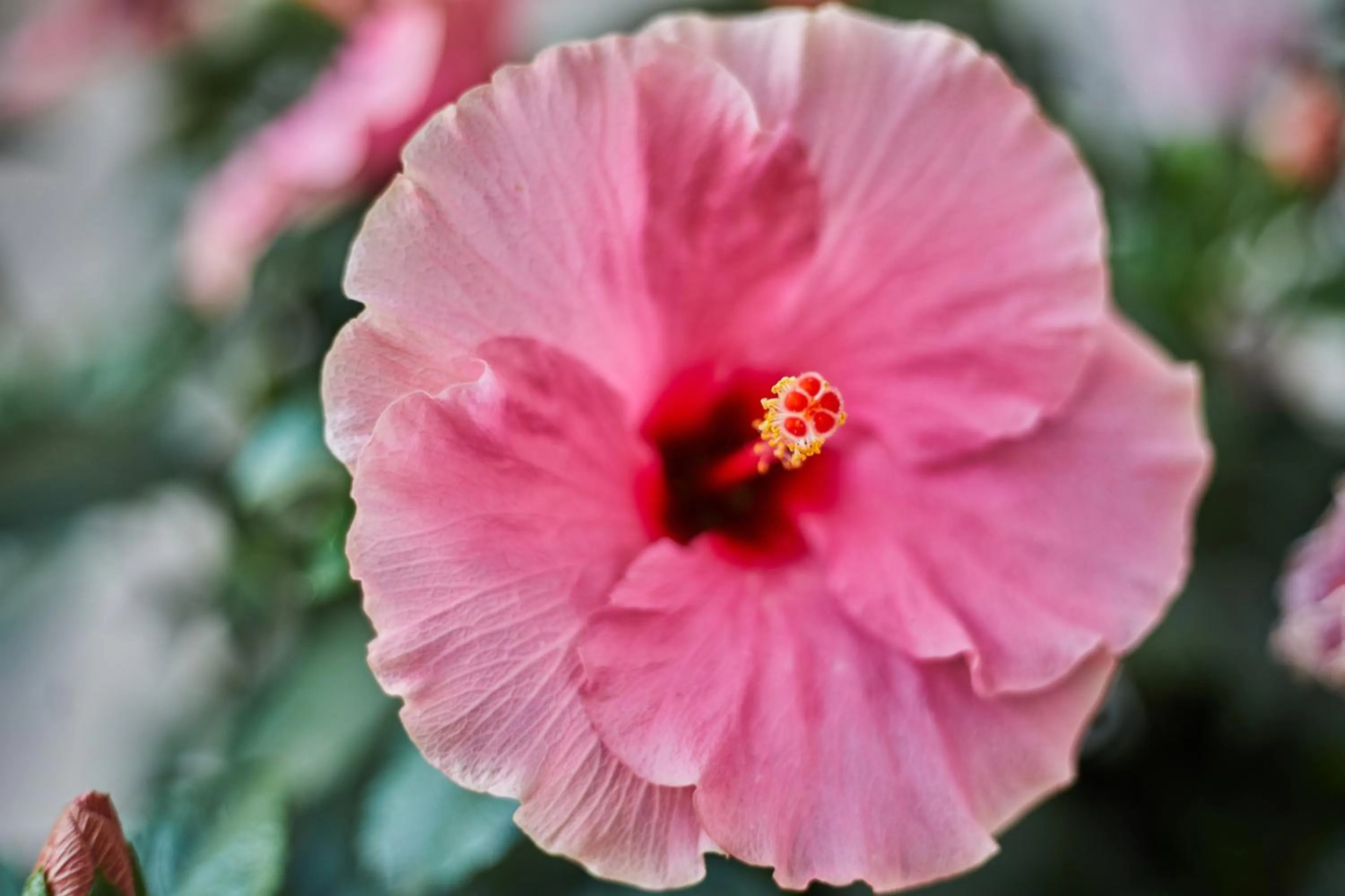 Spring in Mon Boutique Hotel