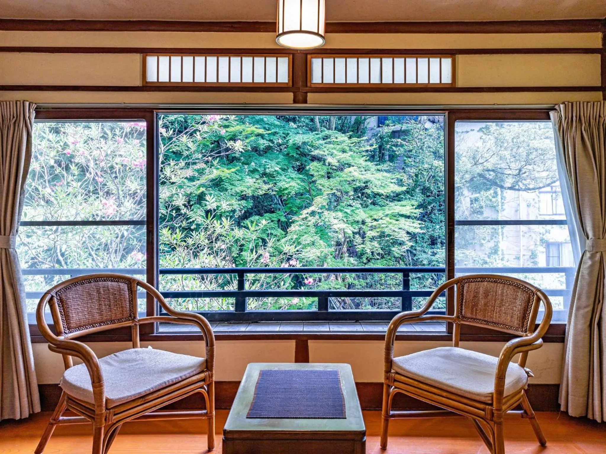 View (from property/room) in Ichinoyu Honkan