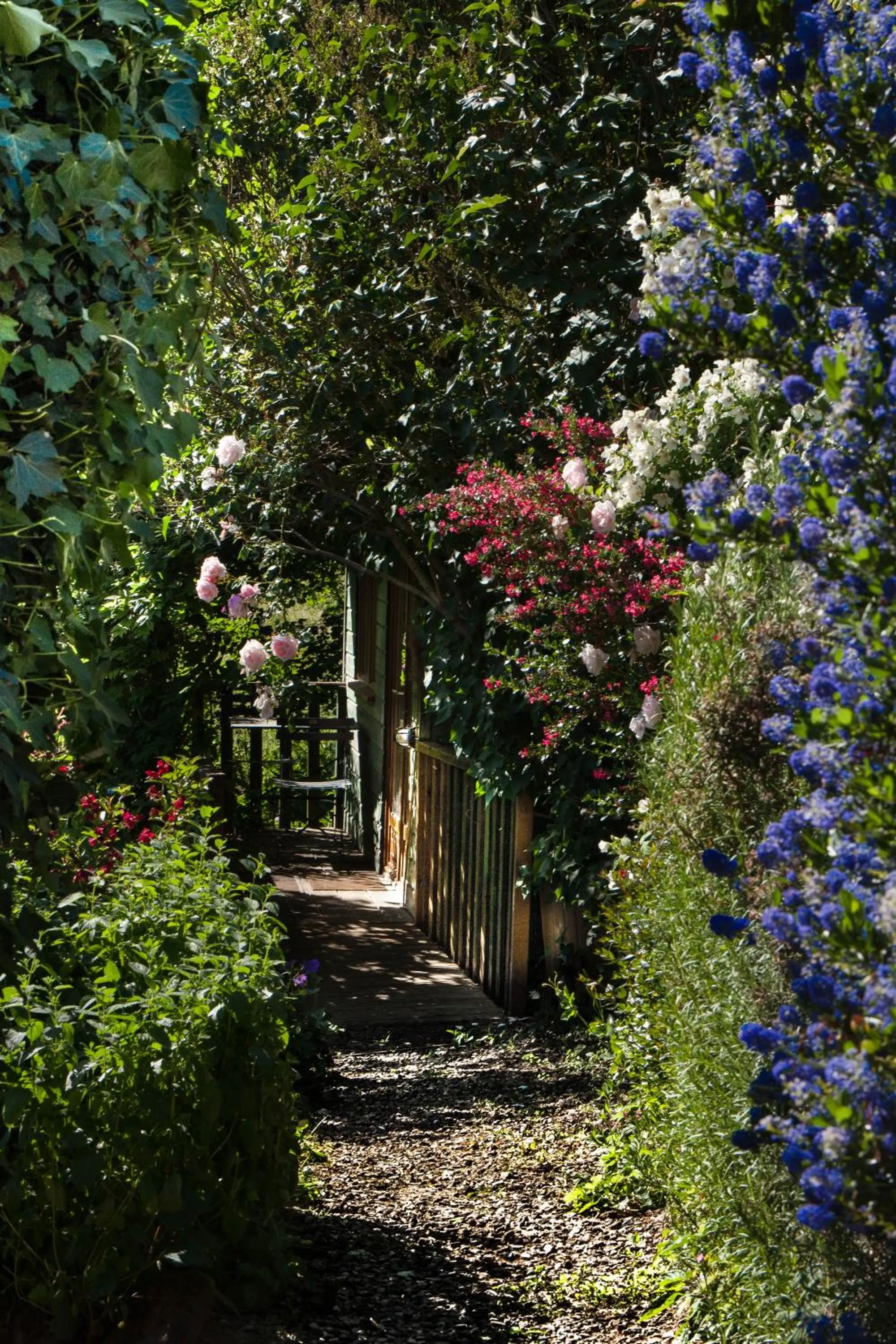 Garden in Les Quatre Siècles