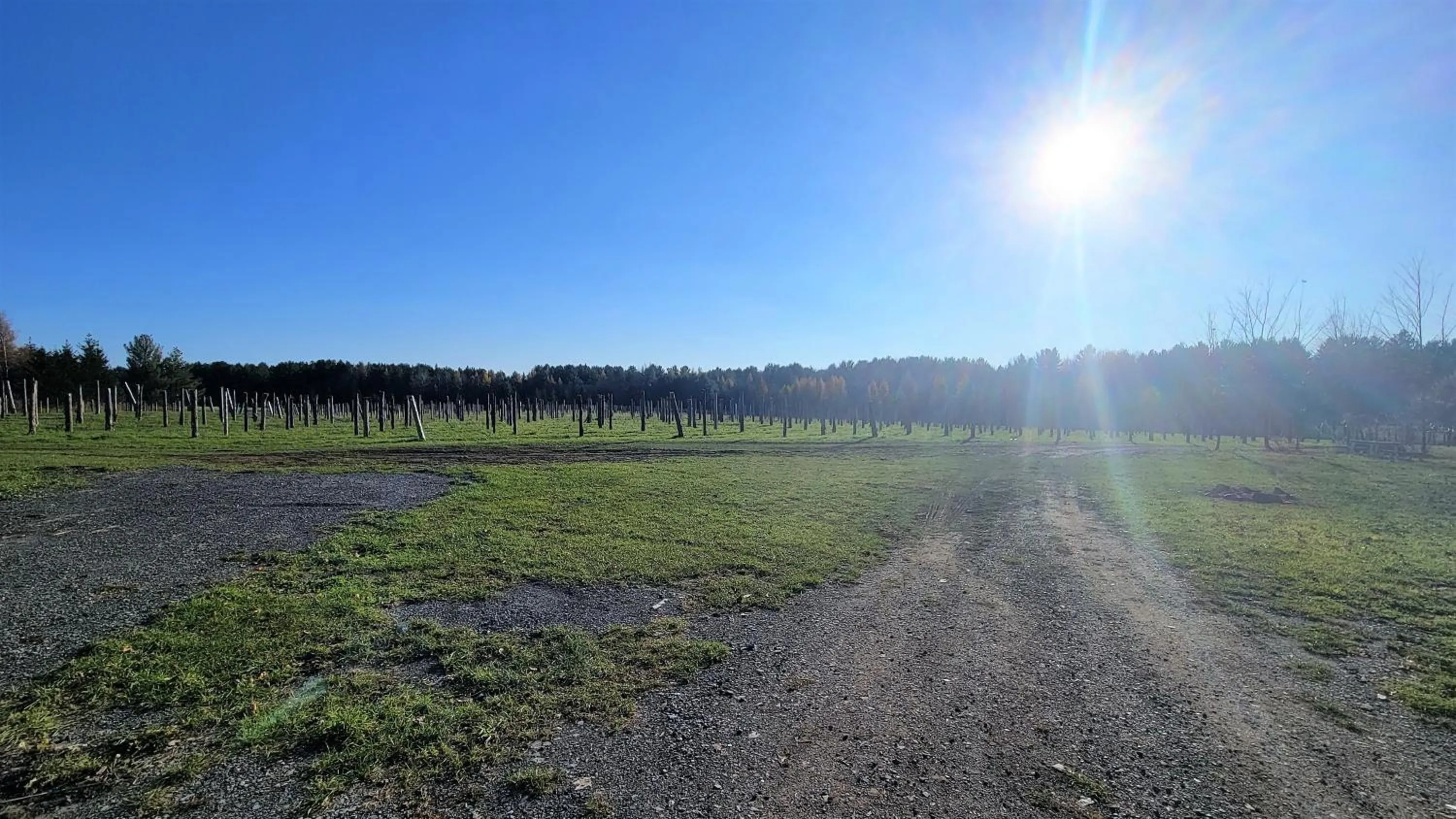 Natural landscape in Auberge du Vignoble Bromont