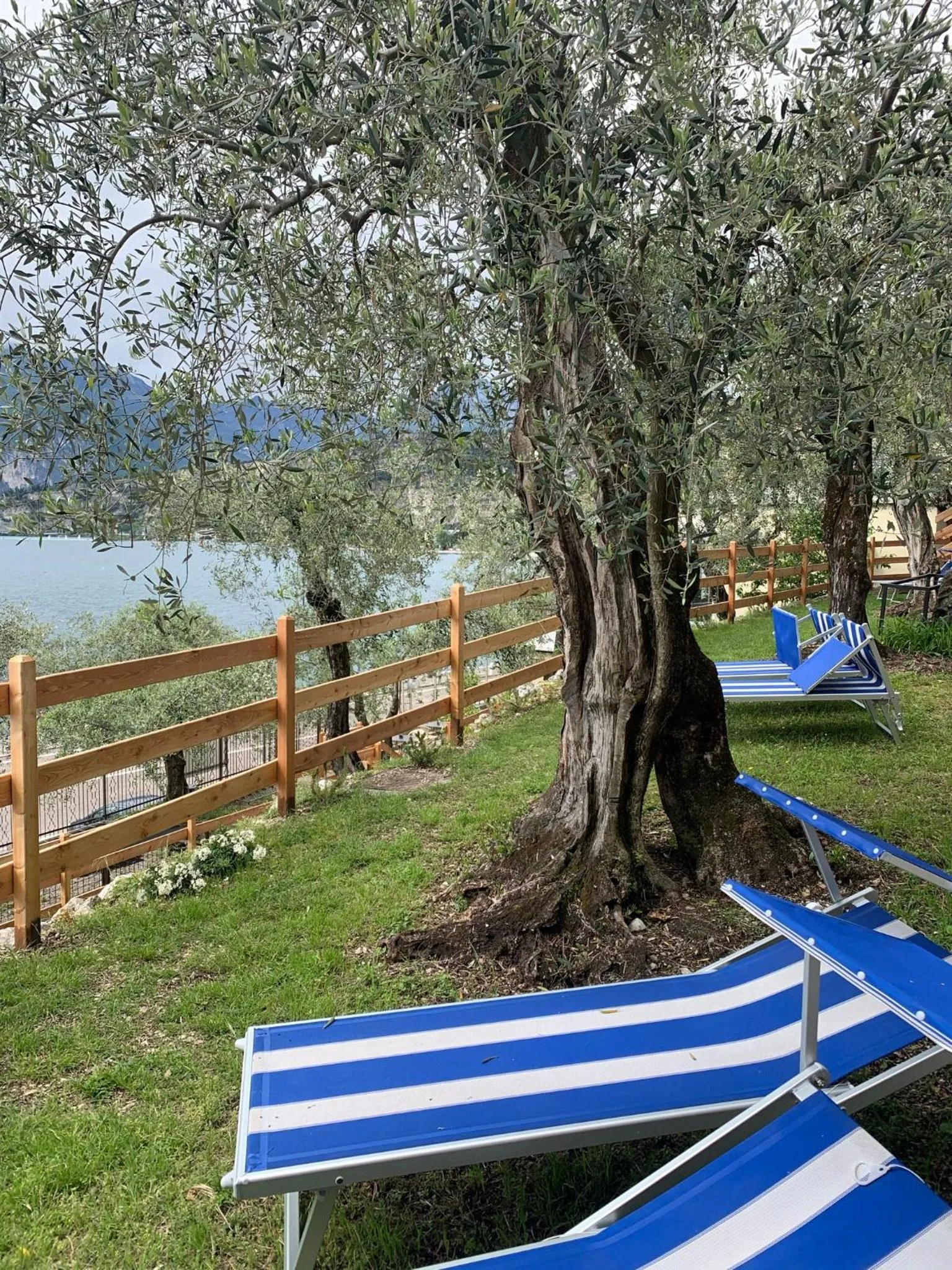 Garden view in Hotel Paradiso Conca d'Oro