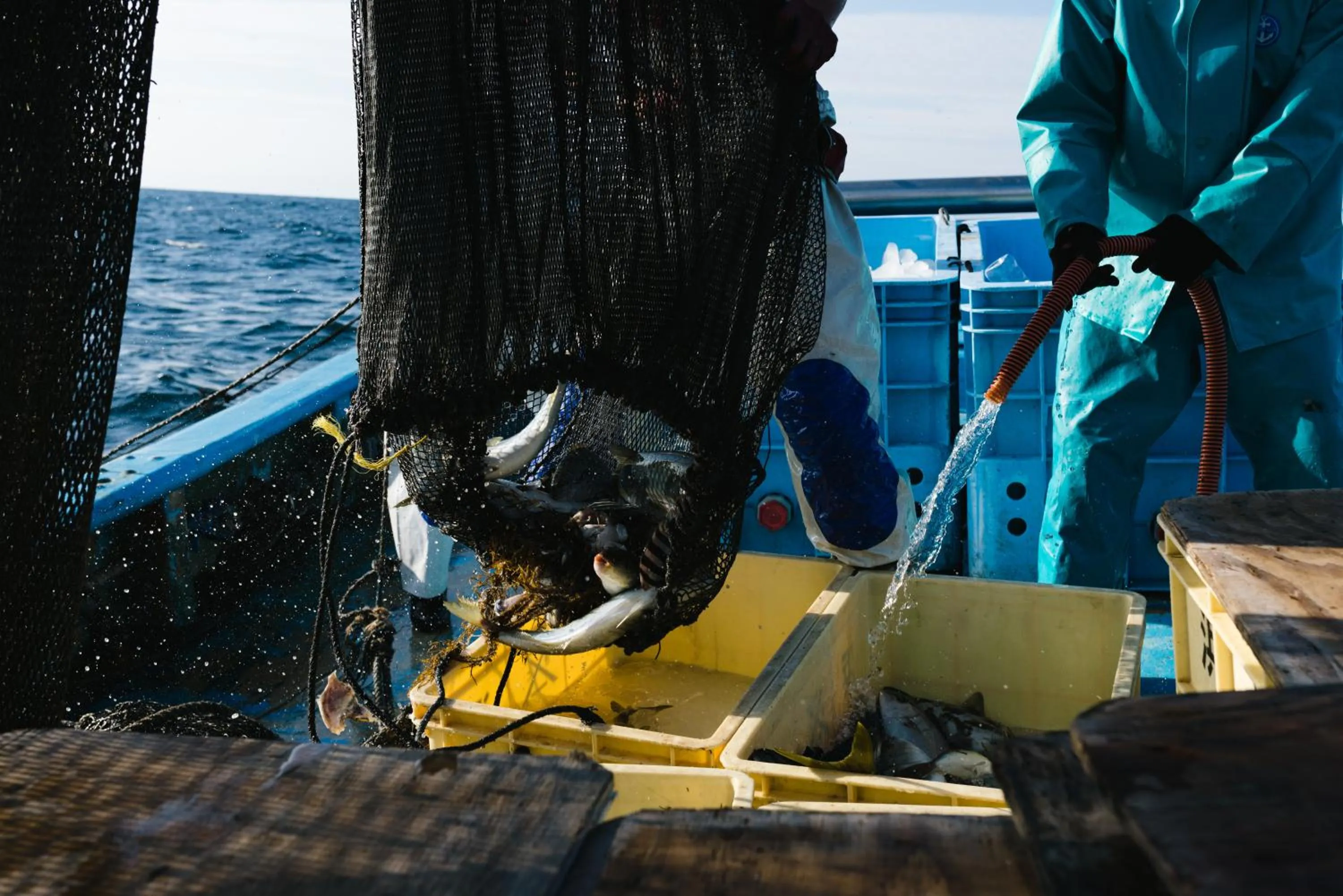 Fishing in B&B MIKAWA - Kanazawa Fish Harbour