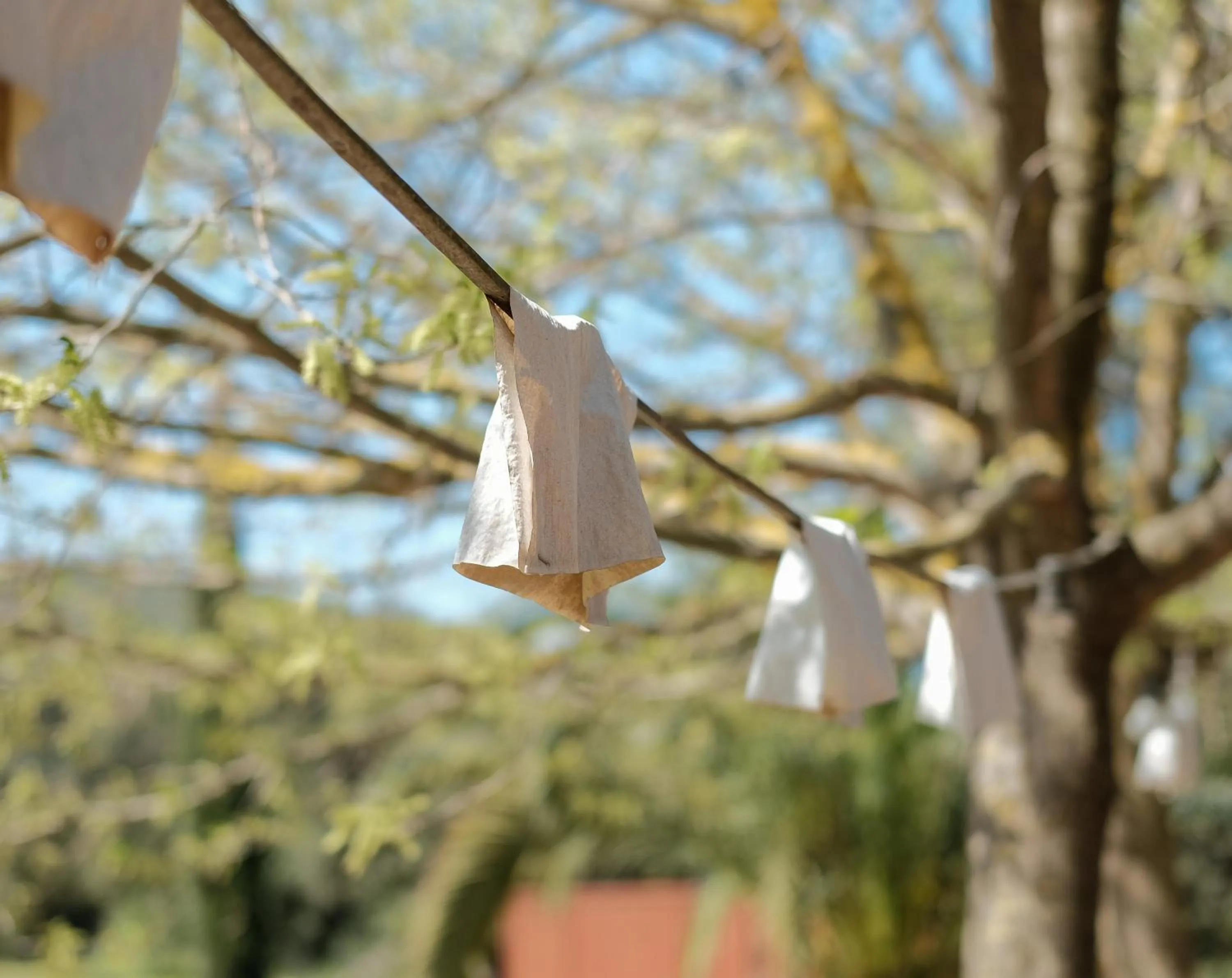 Garden in Hotel Fundació L'Olivar