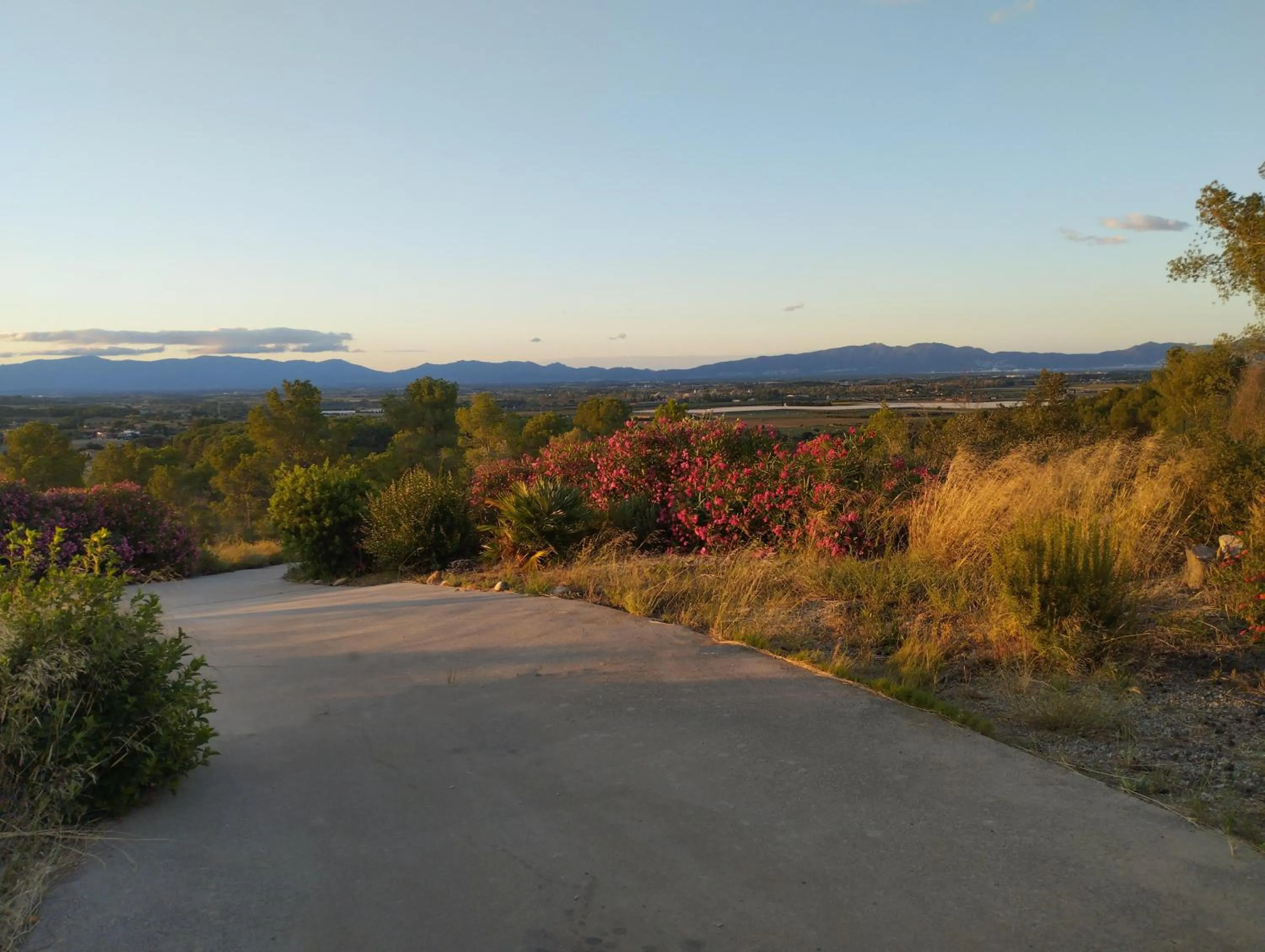 Hotel Fundació L'Olivar
