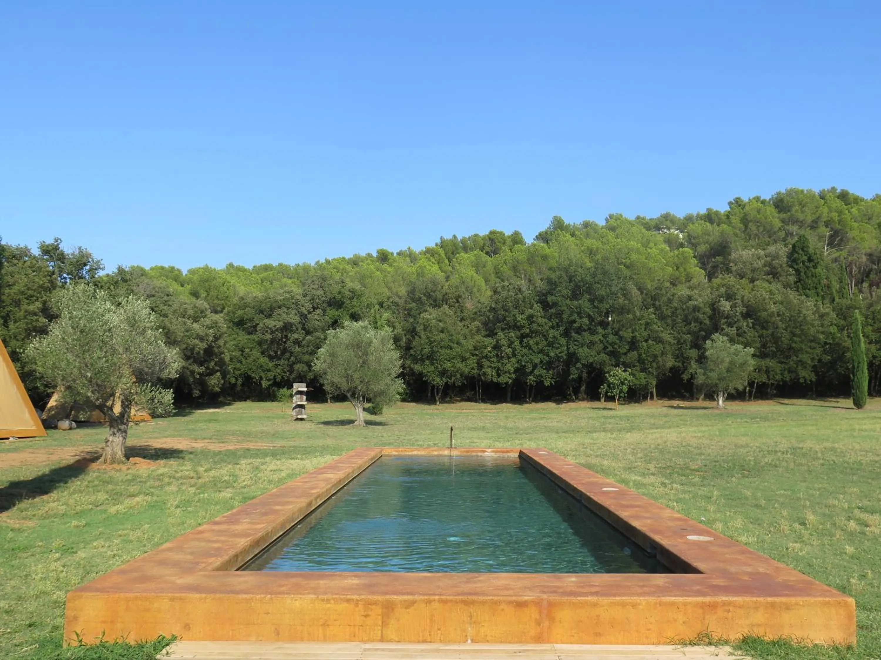Swimming pool in Hotel Fundació L'Olivar