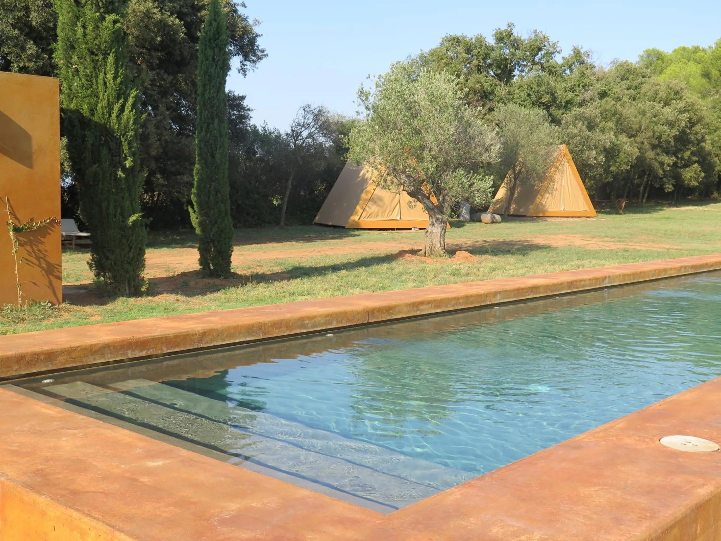 Area and facilities in Hotel Fundació L'Olivar