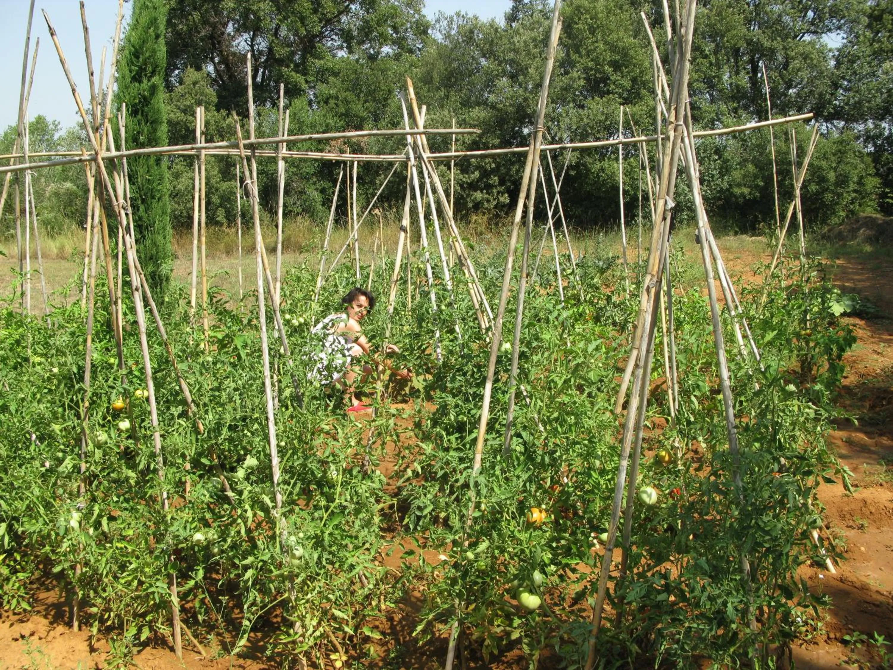 Staff in Hotel Fundació L'Olivar