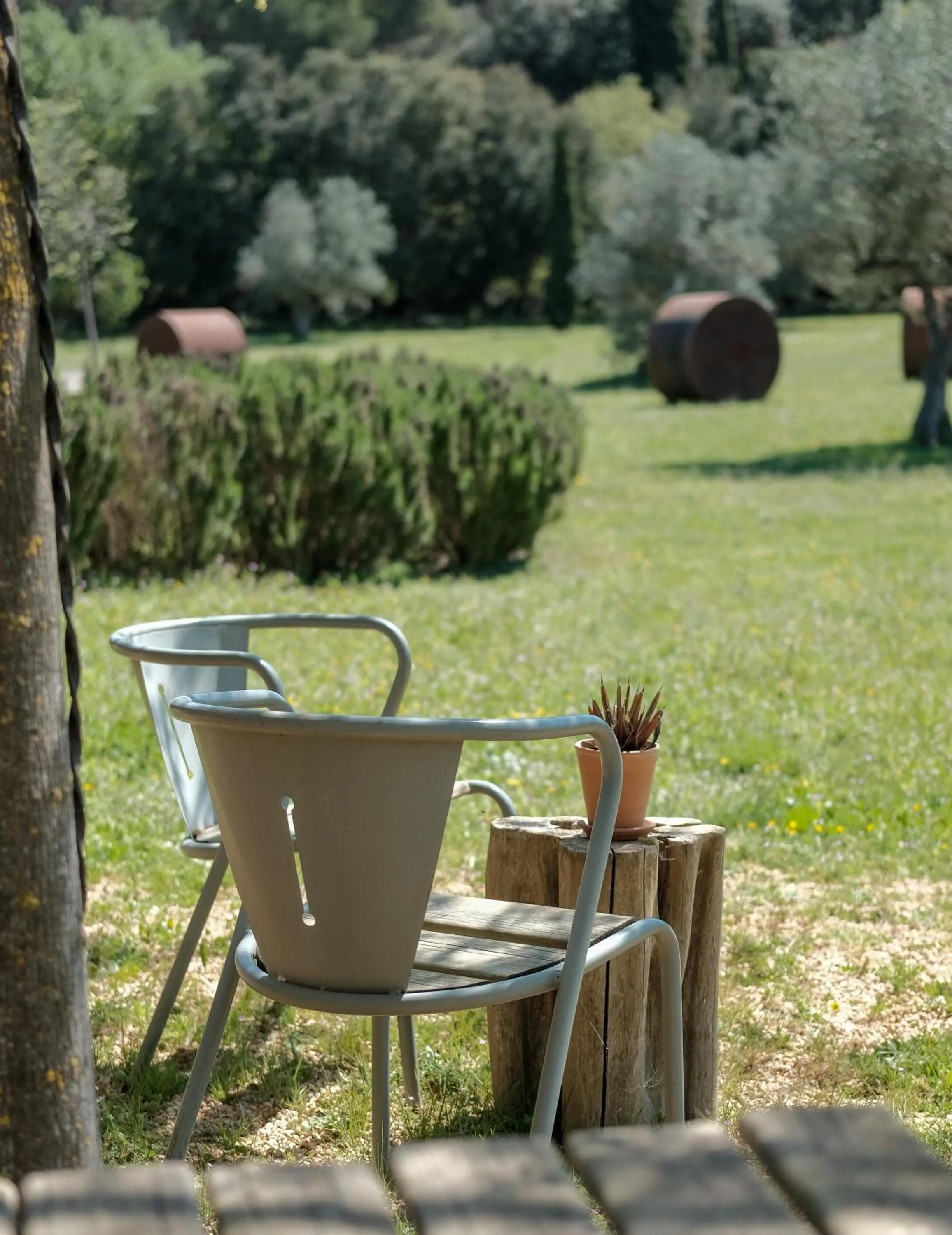 Patio in Hotel Fundació L'Olivar