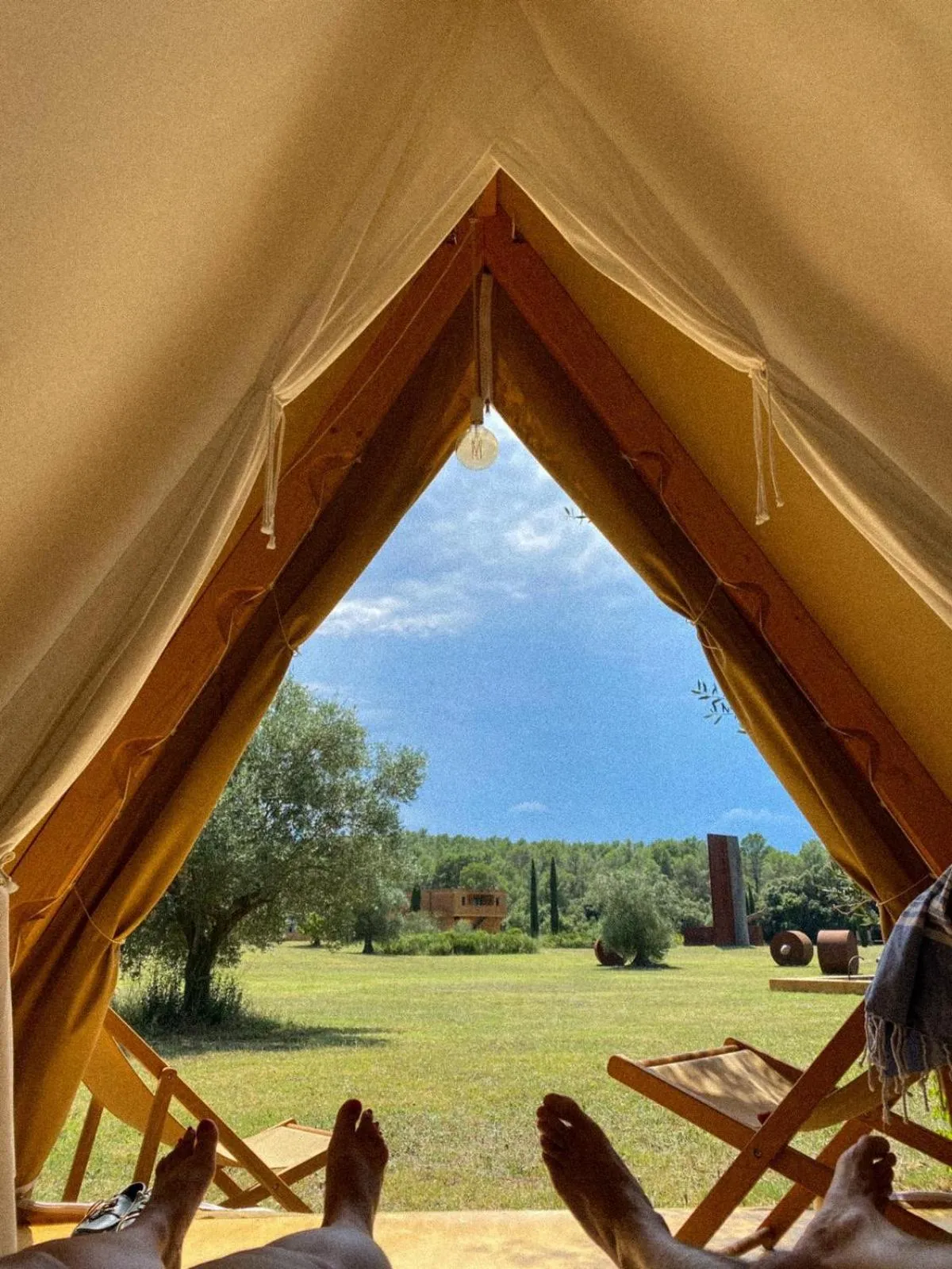 Garden view in Hotel Fundació L'Olivar