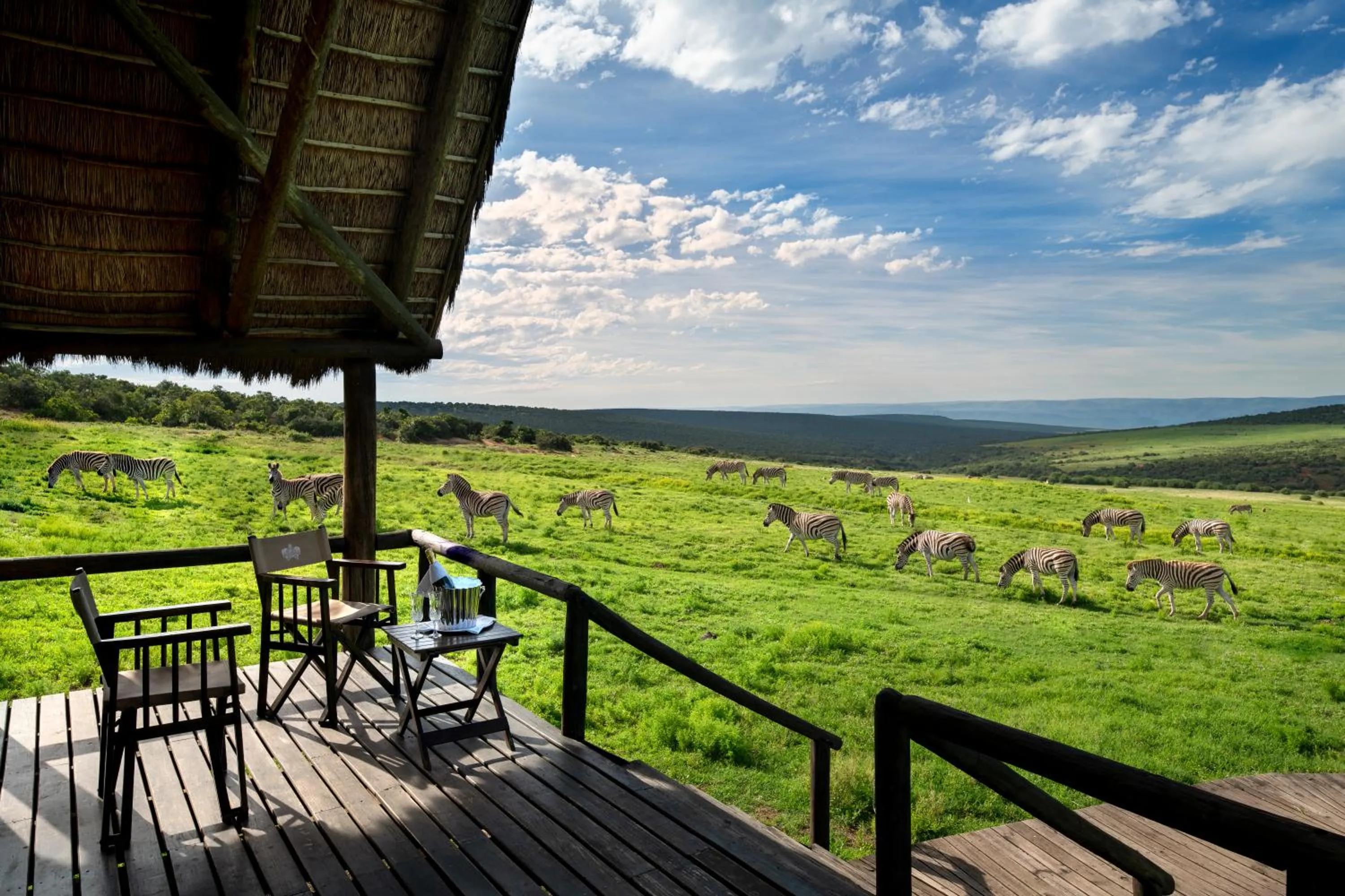 Natural landscape in Gorah Elephant Camp