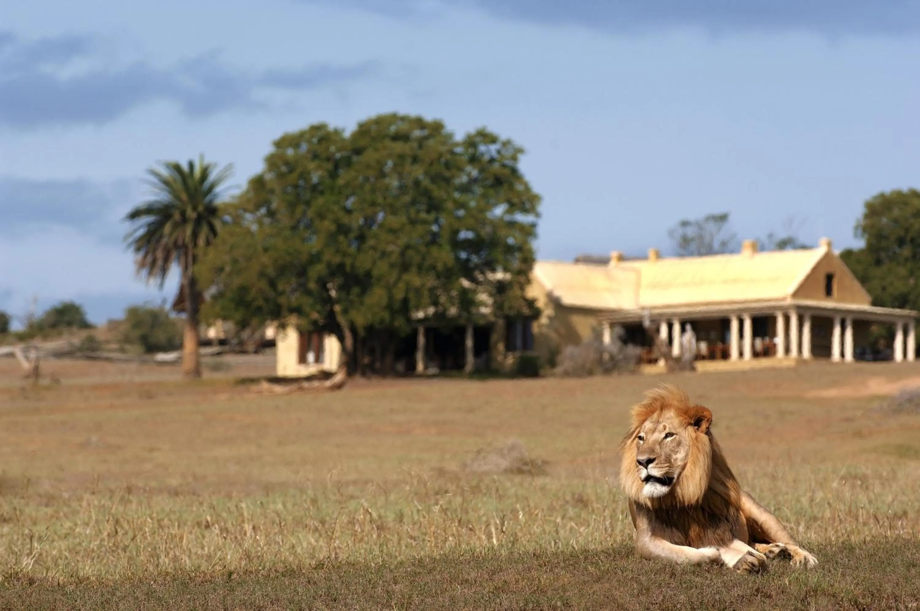 Animals in Gorah Elephant Camp