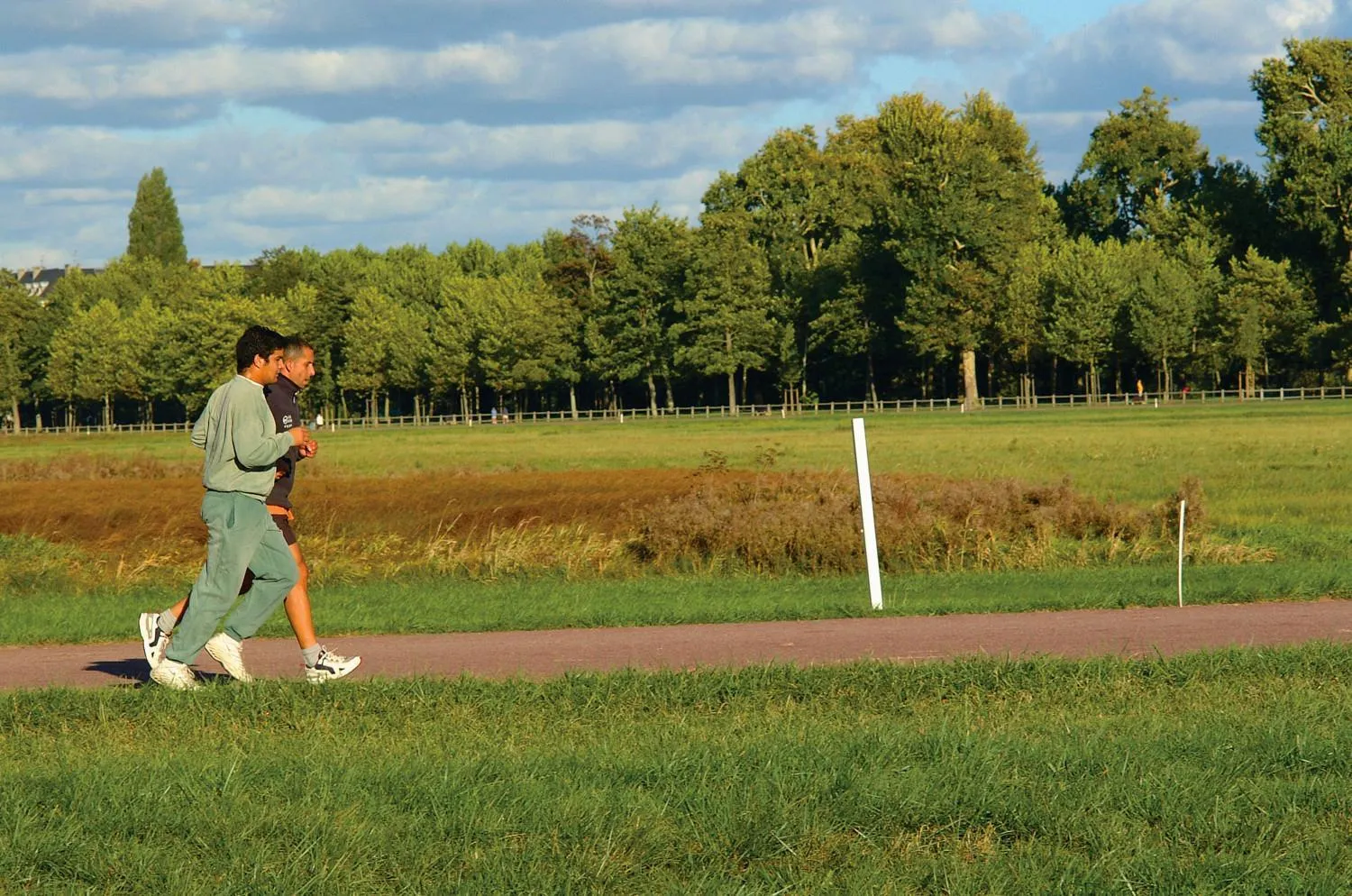 Activities in Best Western Plus Le Moderne