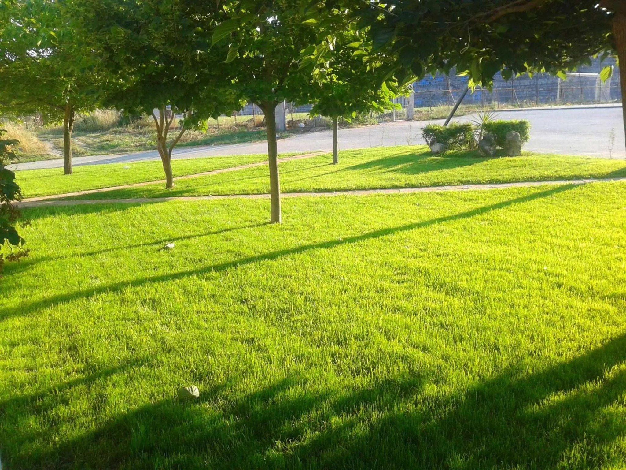 Facade/entrance in Hotel Giorgio