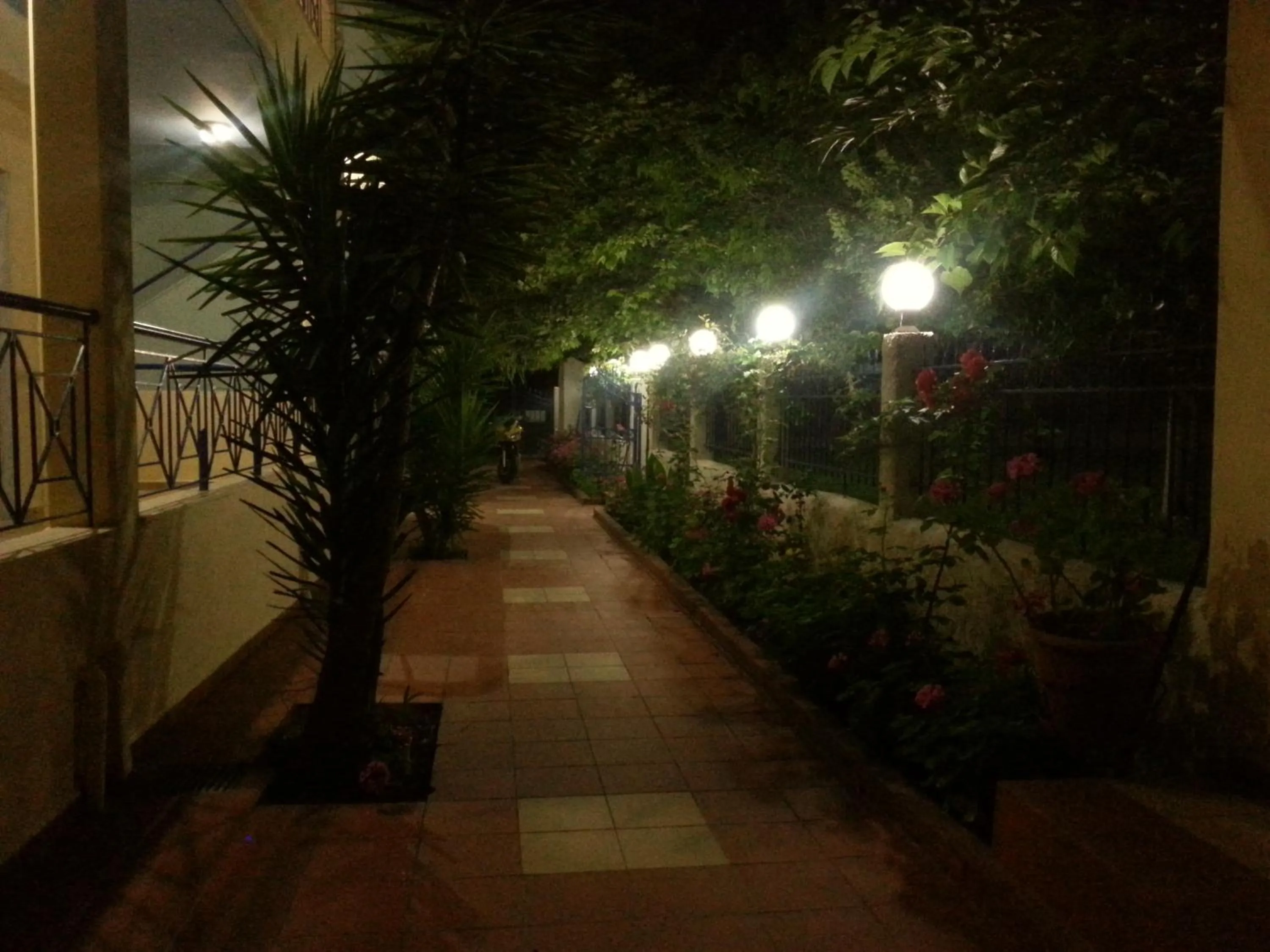 Garden in Hotel Giorgio