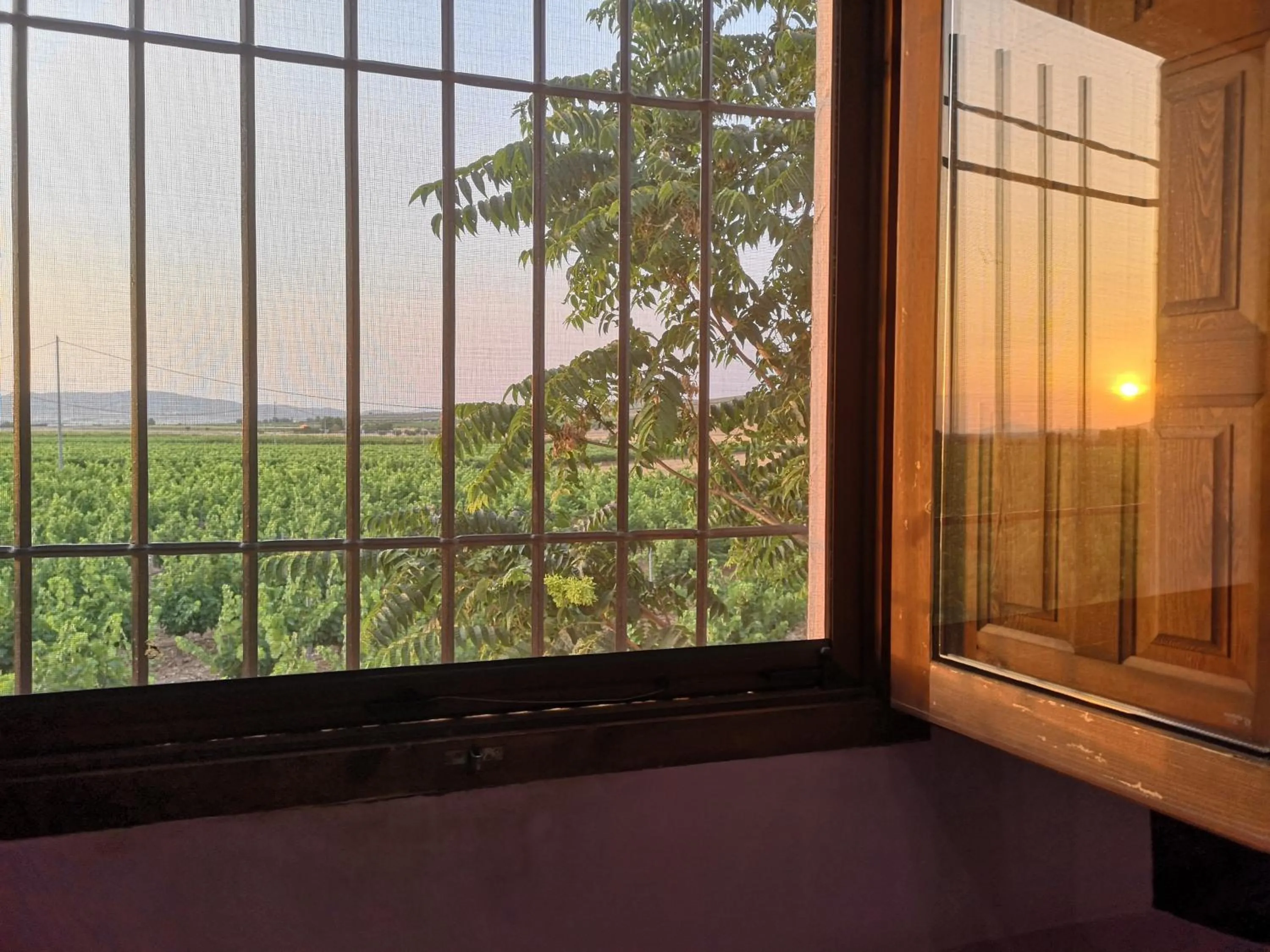 View (from property/room) in Casa Rural El Llano Quintanilla
