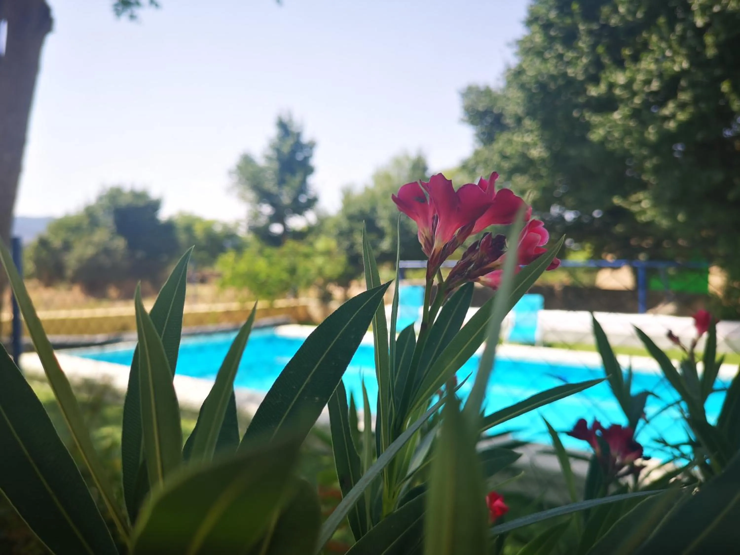 Swimming pool in Casa Rural El Llano Quintanilla