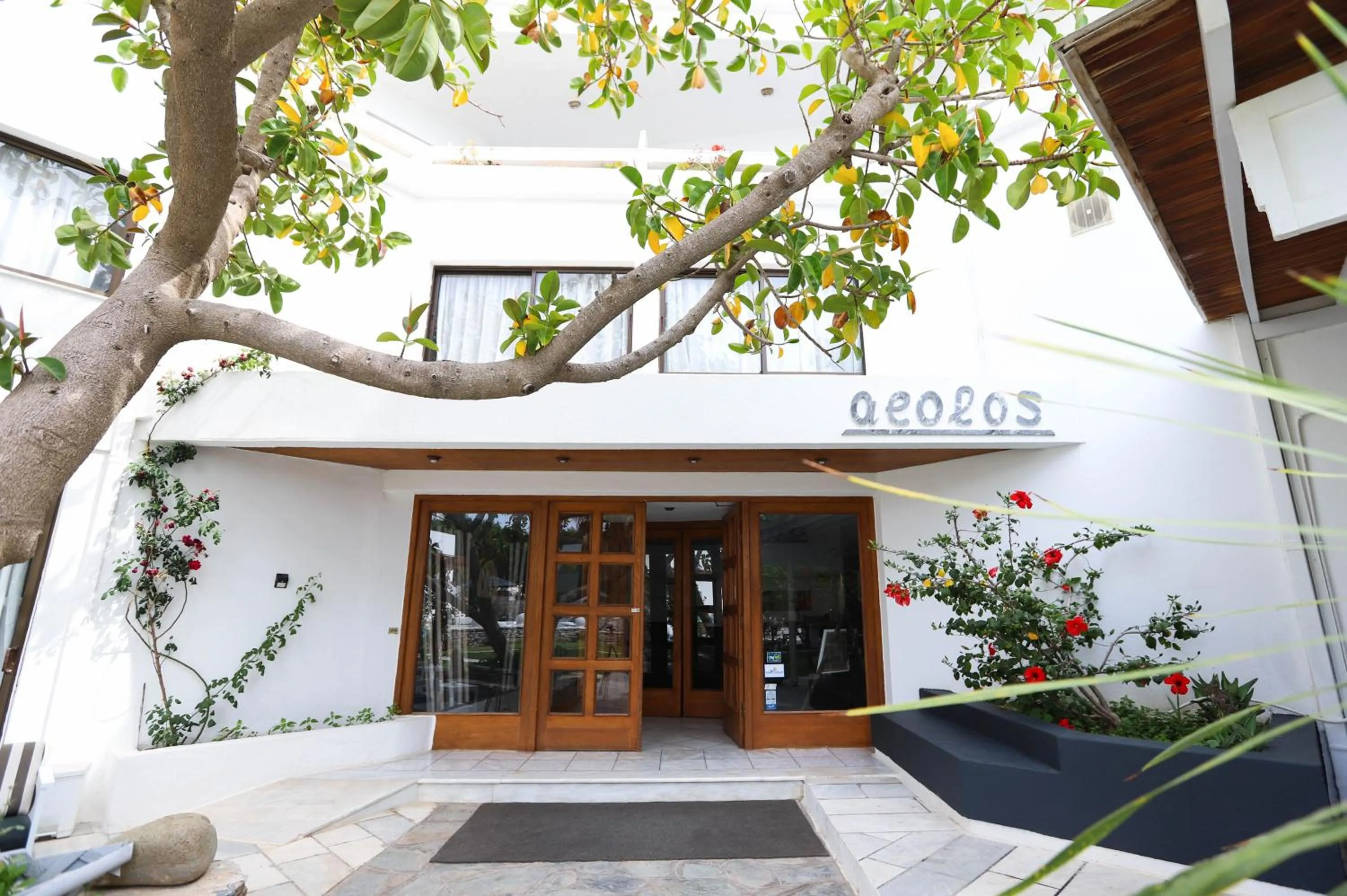 Facade/entrance in Aeolos Bay Tinos