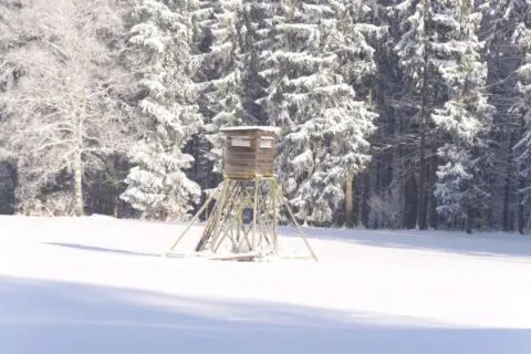 Natural landscape in Forsthaus Luchsenburg