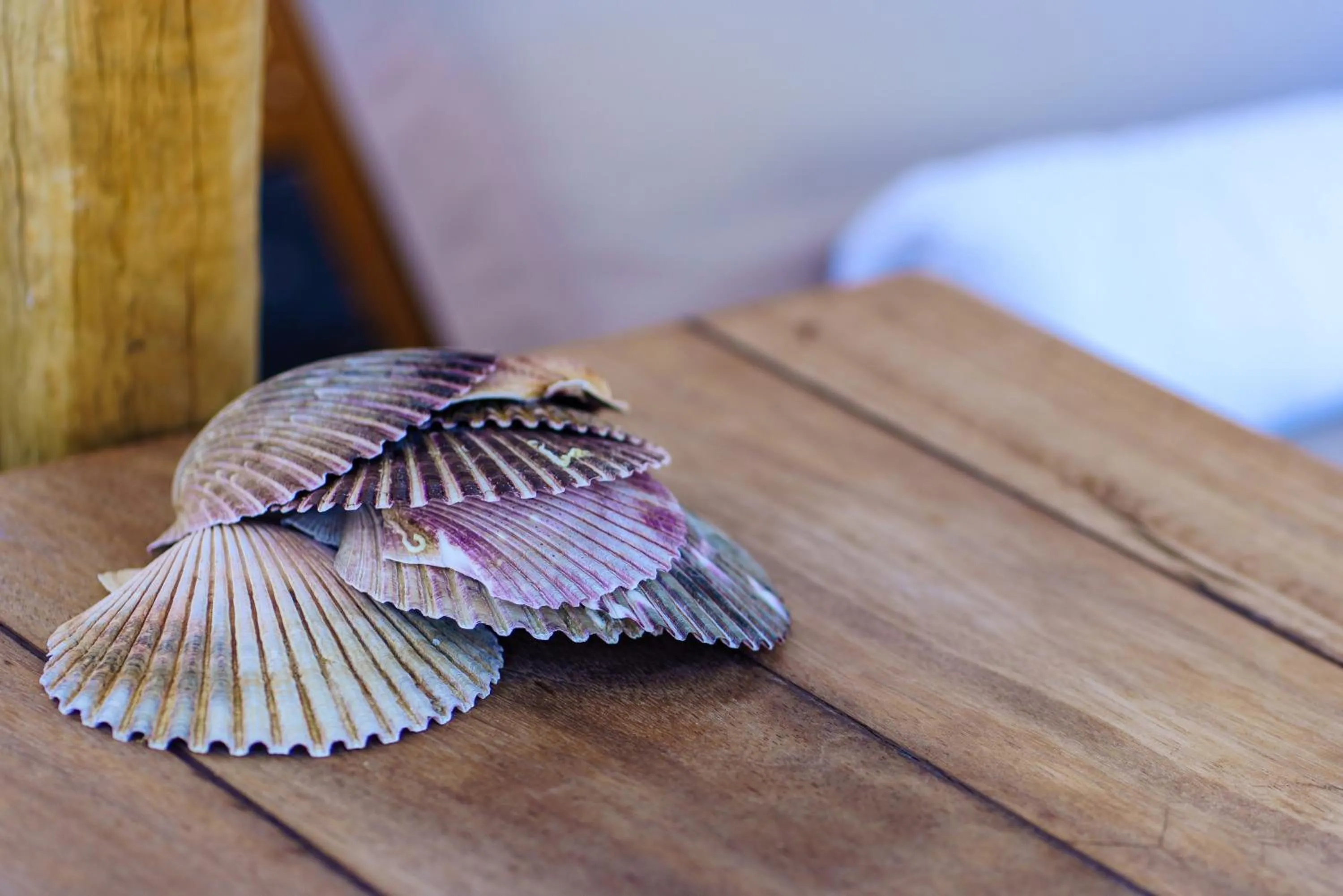 Decorative detail in Beach Houses Santorini