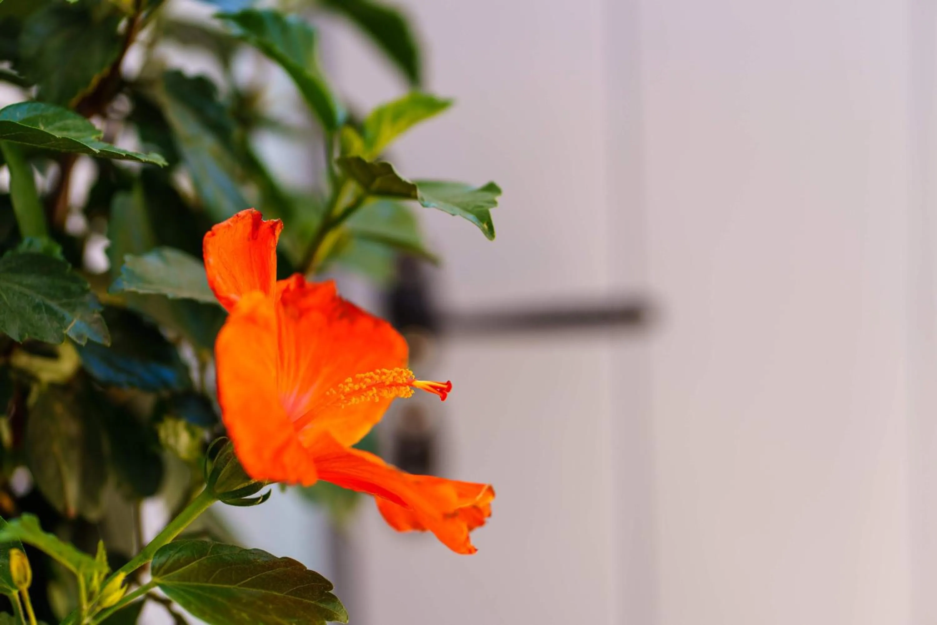 Beach Houses Santorini