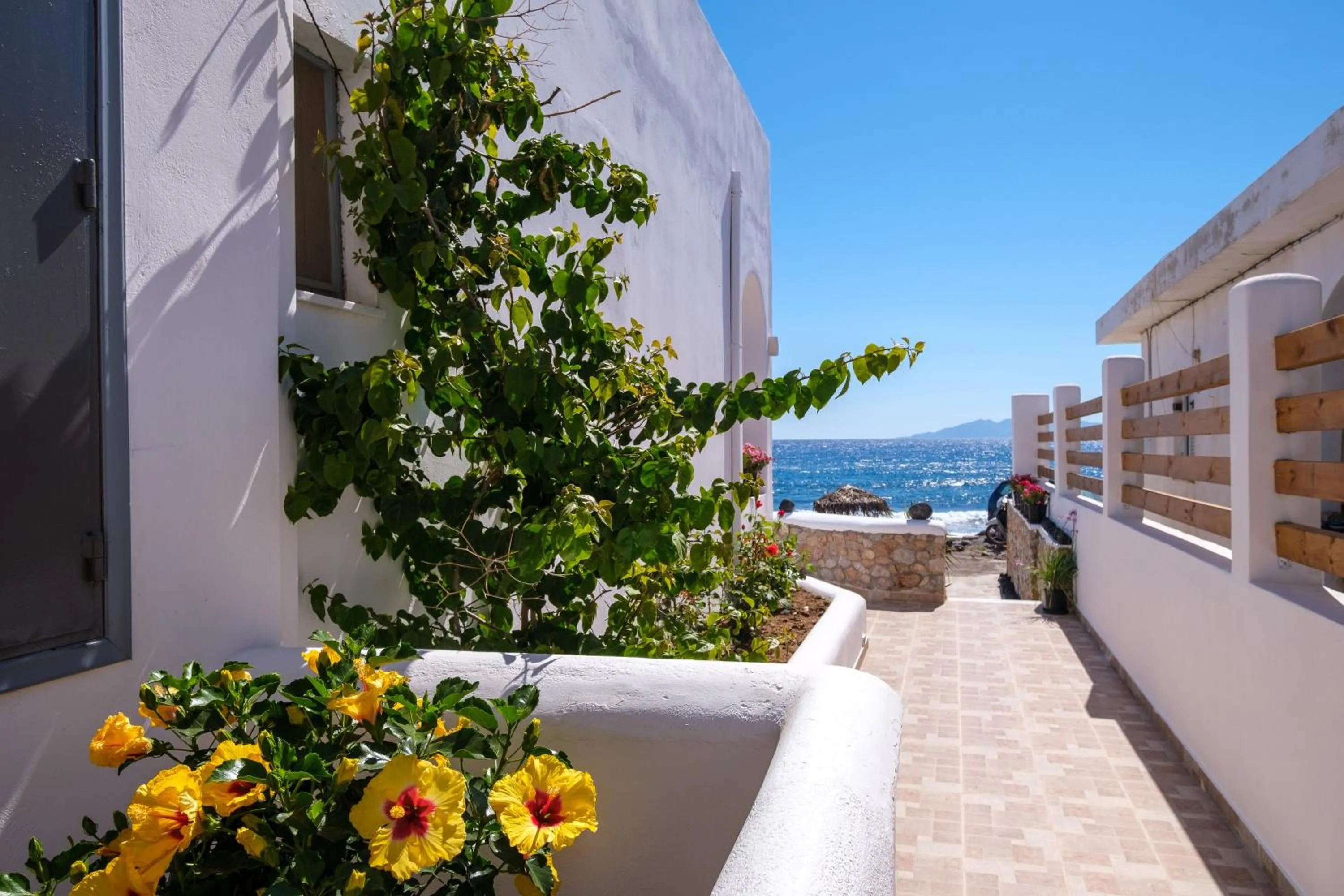 Garden in Beach Houses Santorini