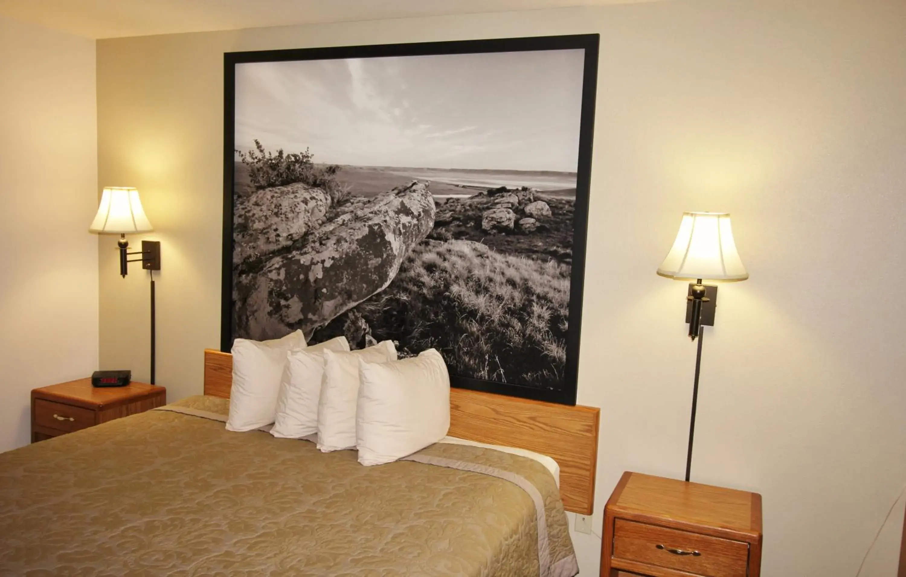 Double Room - single occupancy - Disability Access in Homestead Inn and Suites Double Room - single occupancy - Disability Access in Homestead Inn and Suites