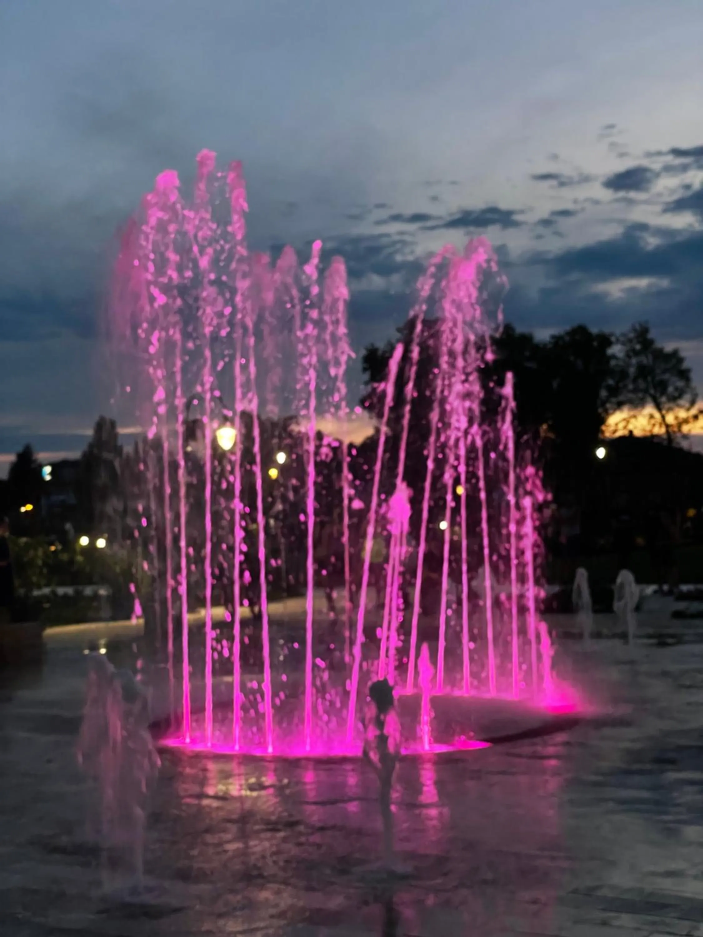 Neighbourhood in Wellness Dorina