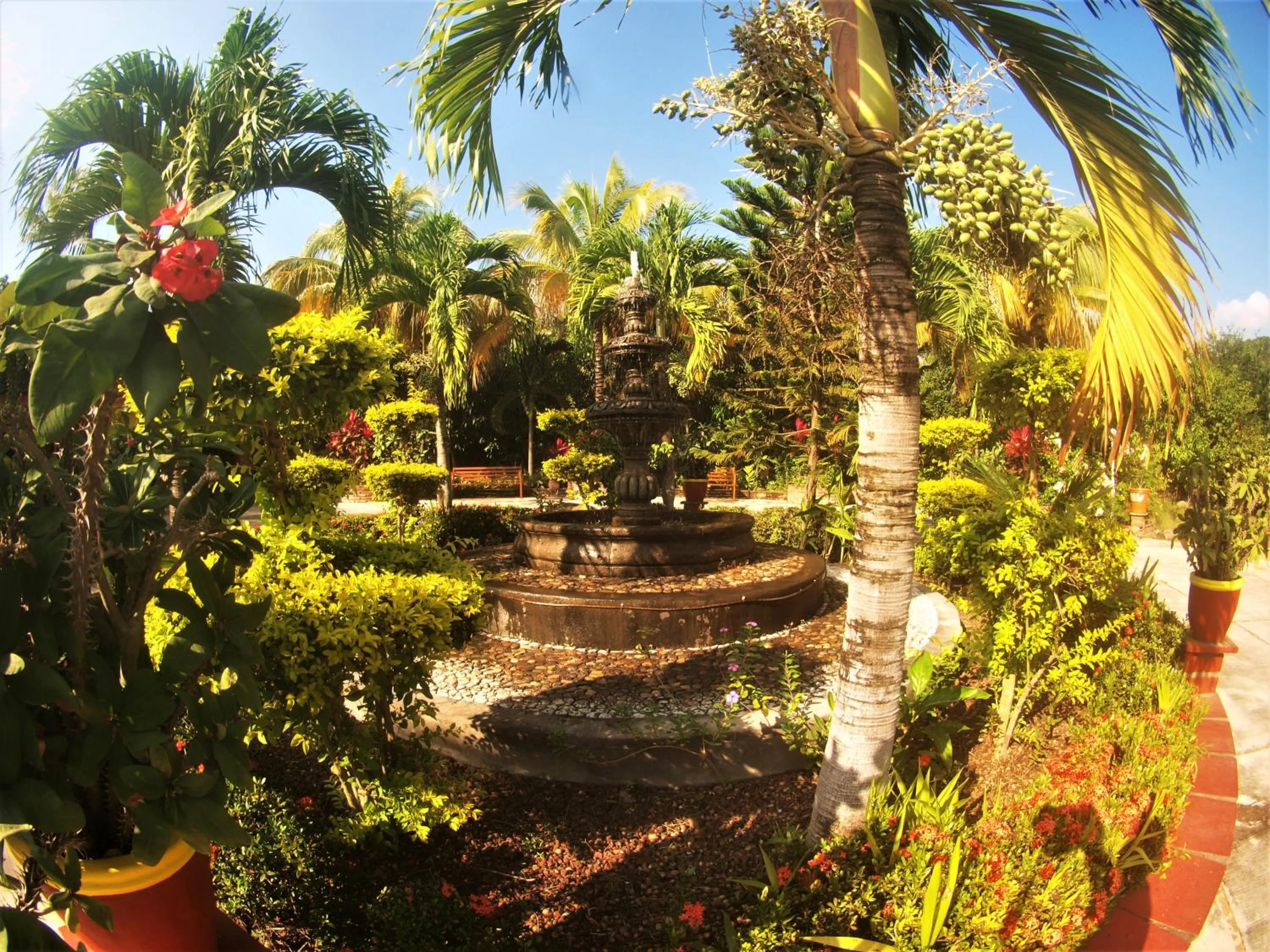 View (from property/room) in Quinta Comala Hotel & Villas