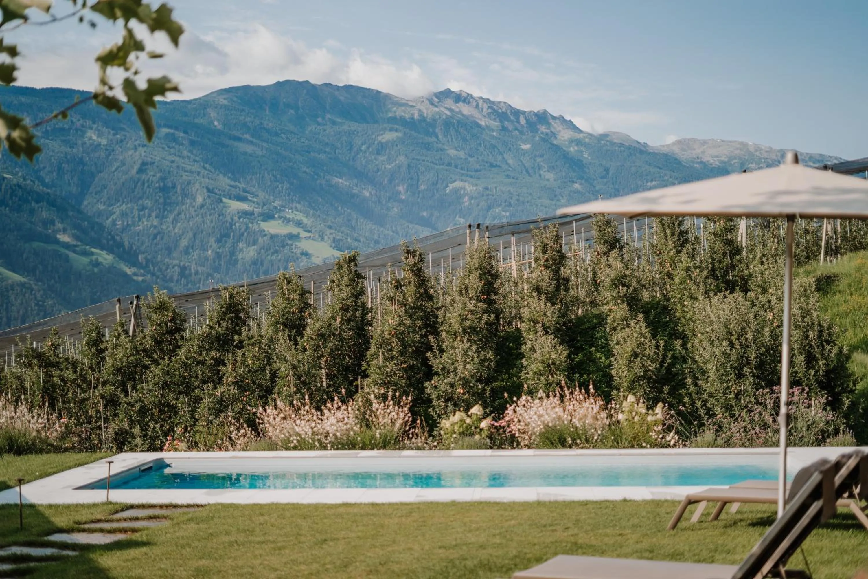 Garden in Wanda Apartments