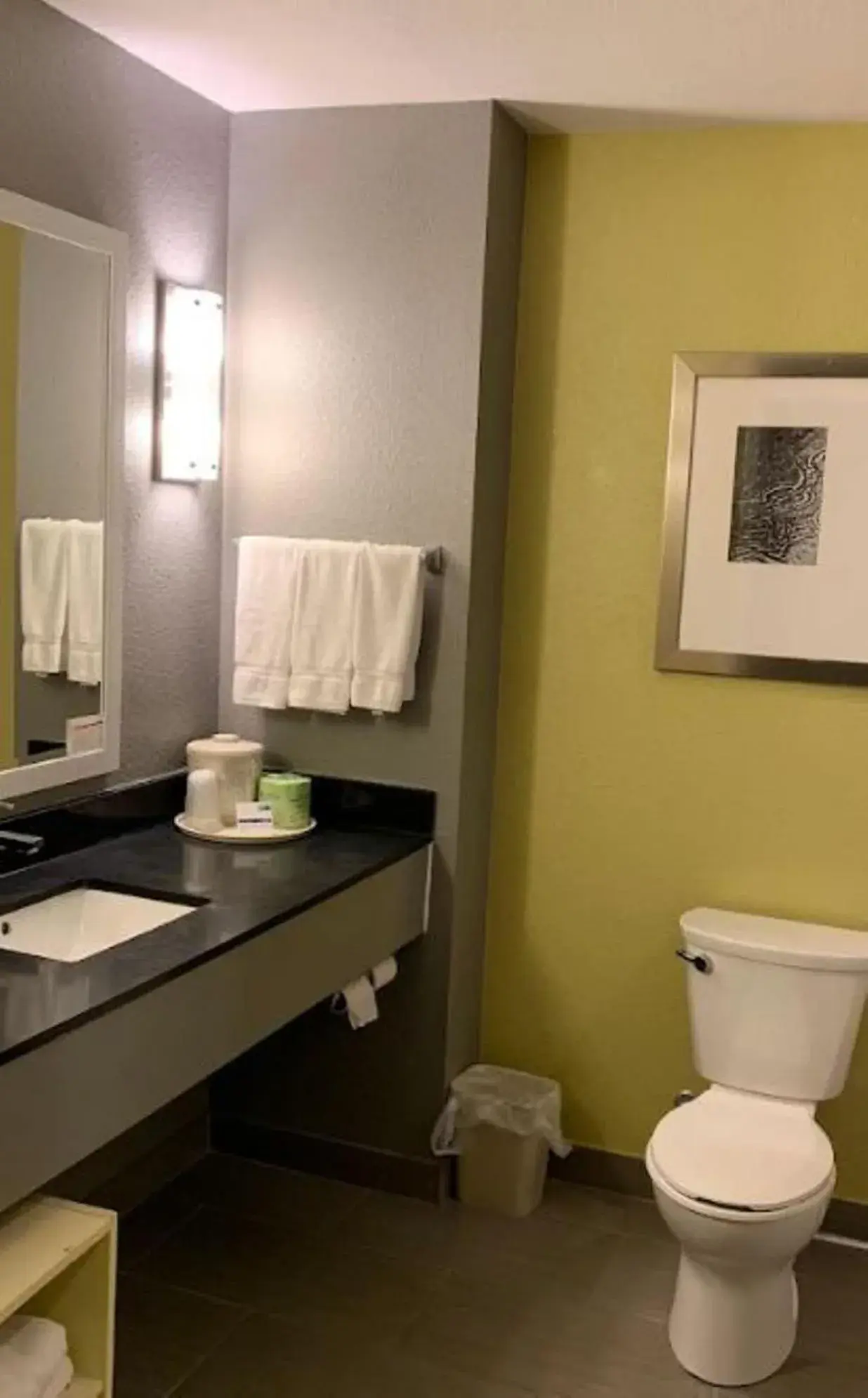King Suite - Non-Smoking in Holiday Inn Express & Suites Carlisle - Harrisburg Area by IHG King Suite - Non-Smoking in Holiday Inn Express & Suites Carlisle - Harrisburg Area by IHG