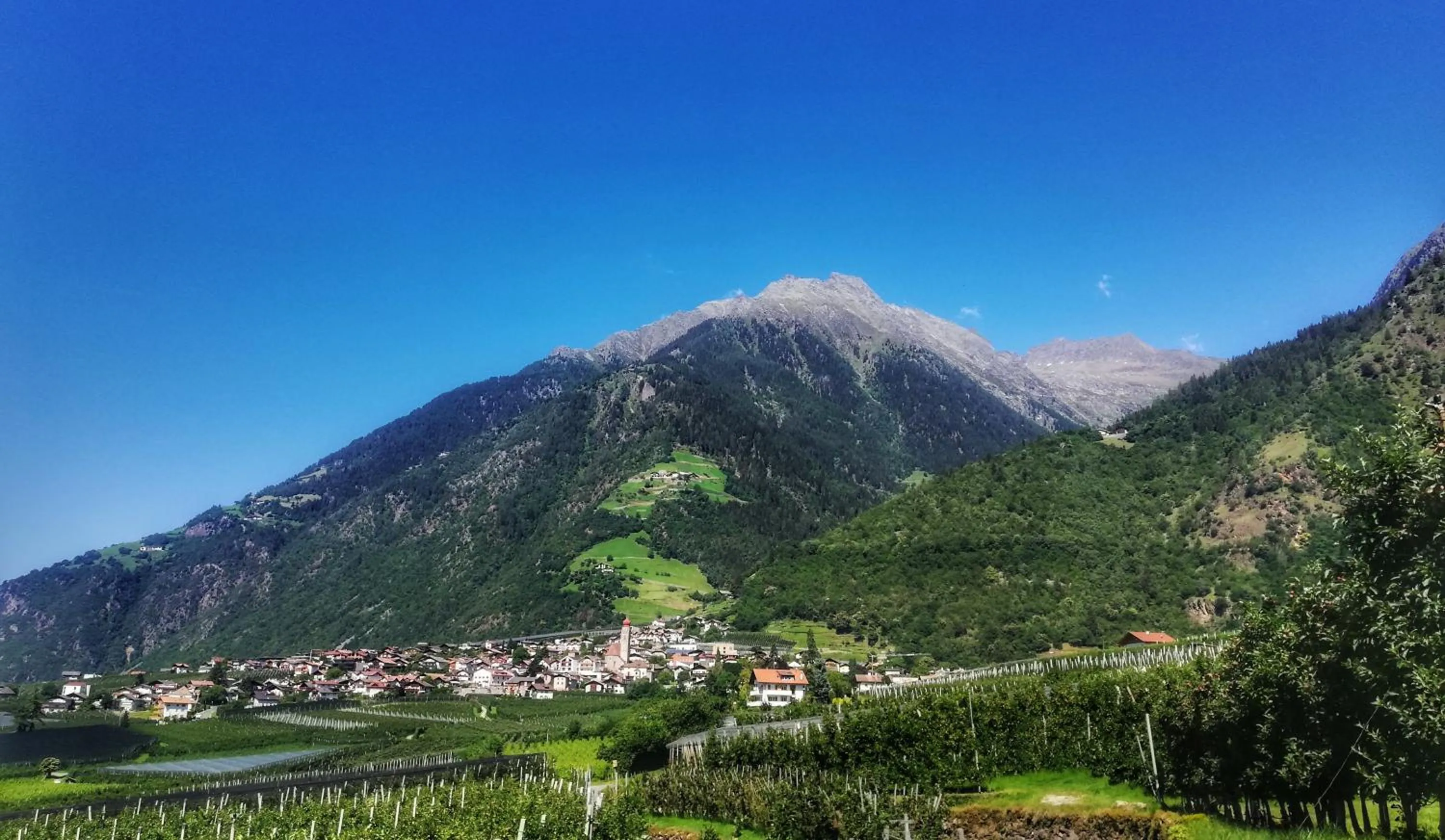 Day in Gasthof Stiegenwirt