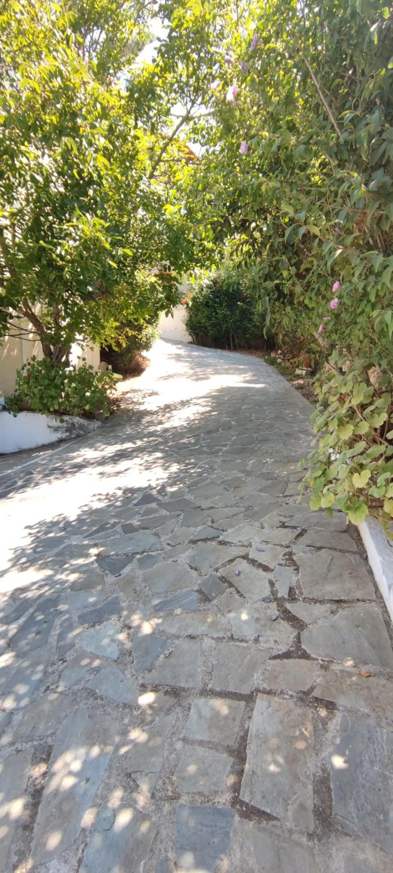 Facade/entrance in Anna Studio and Apartments