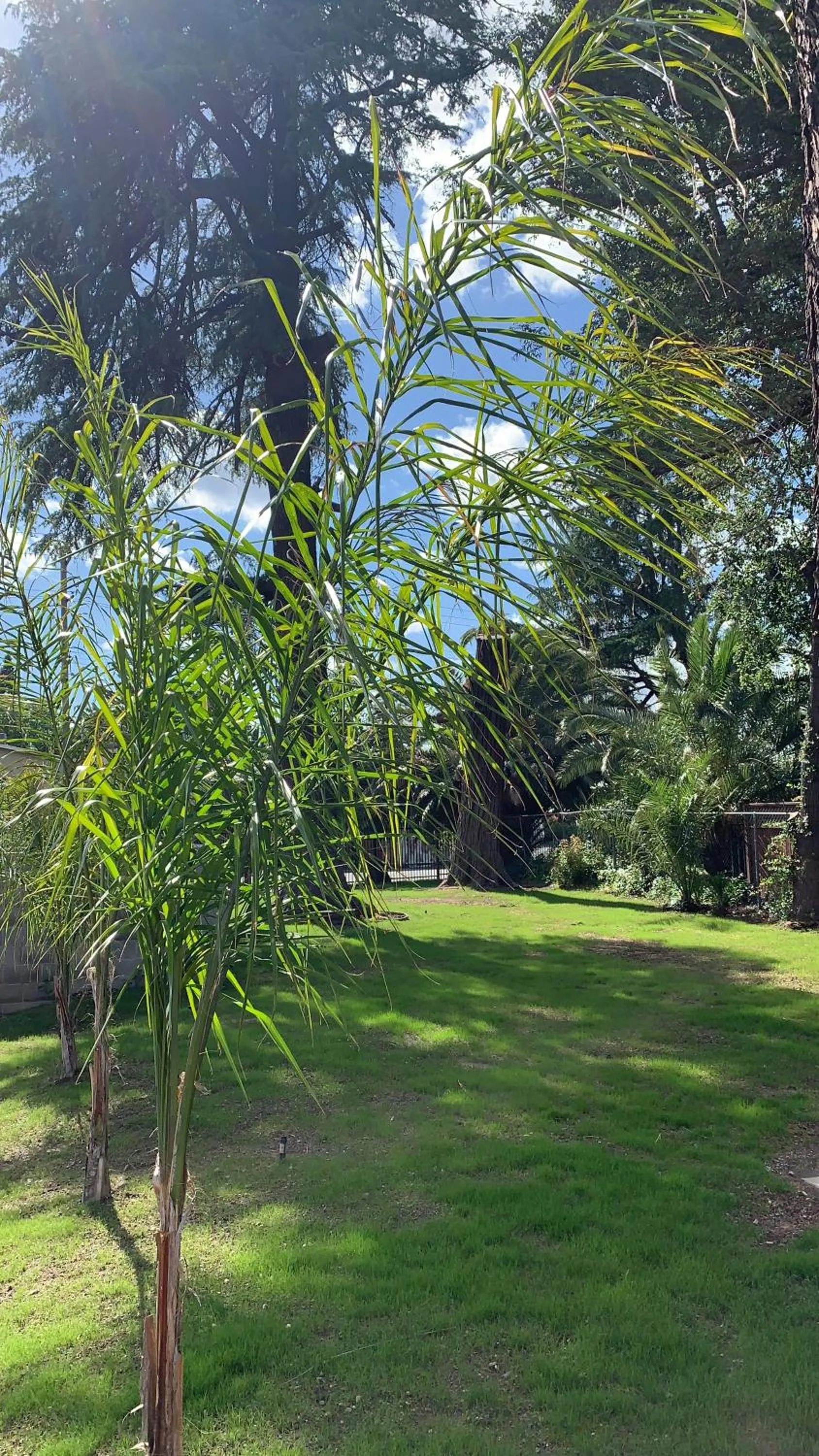 The Greens Hotel on Stockton