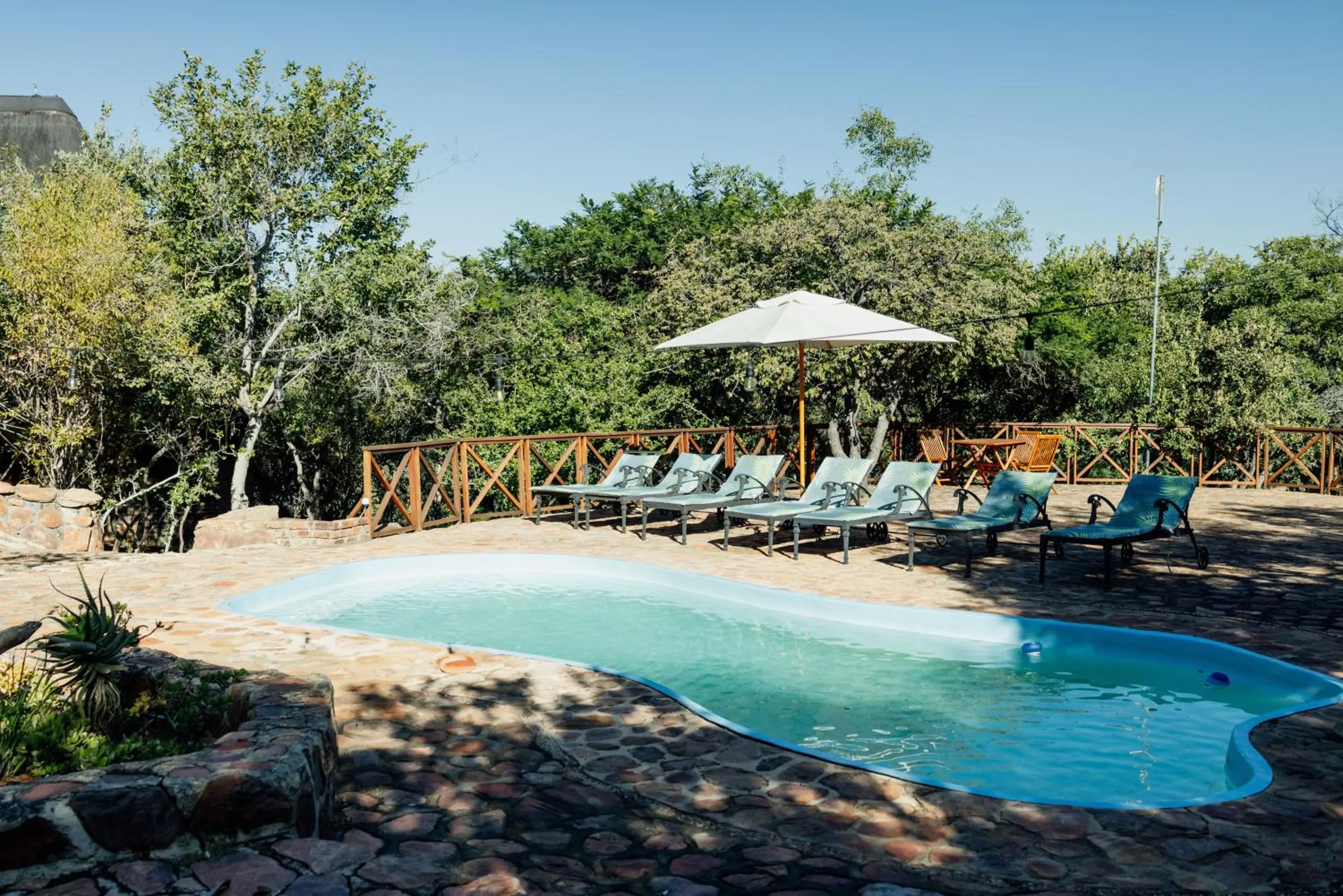Swimming pool in Dinkweng Safari Lodge