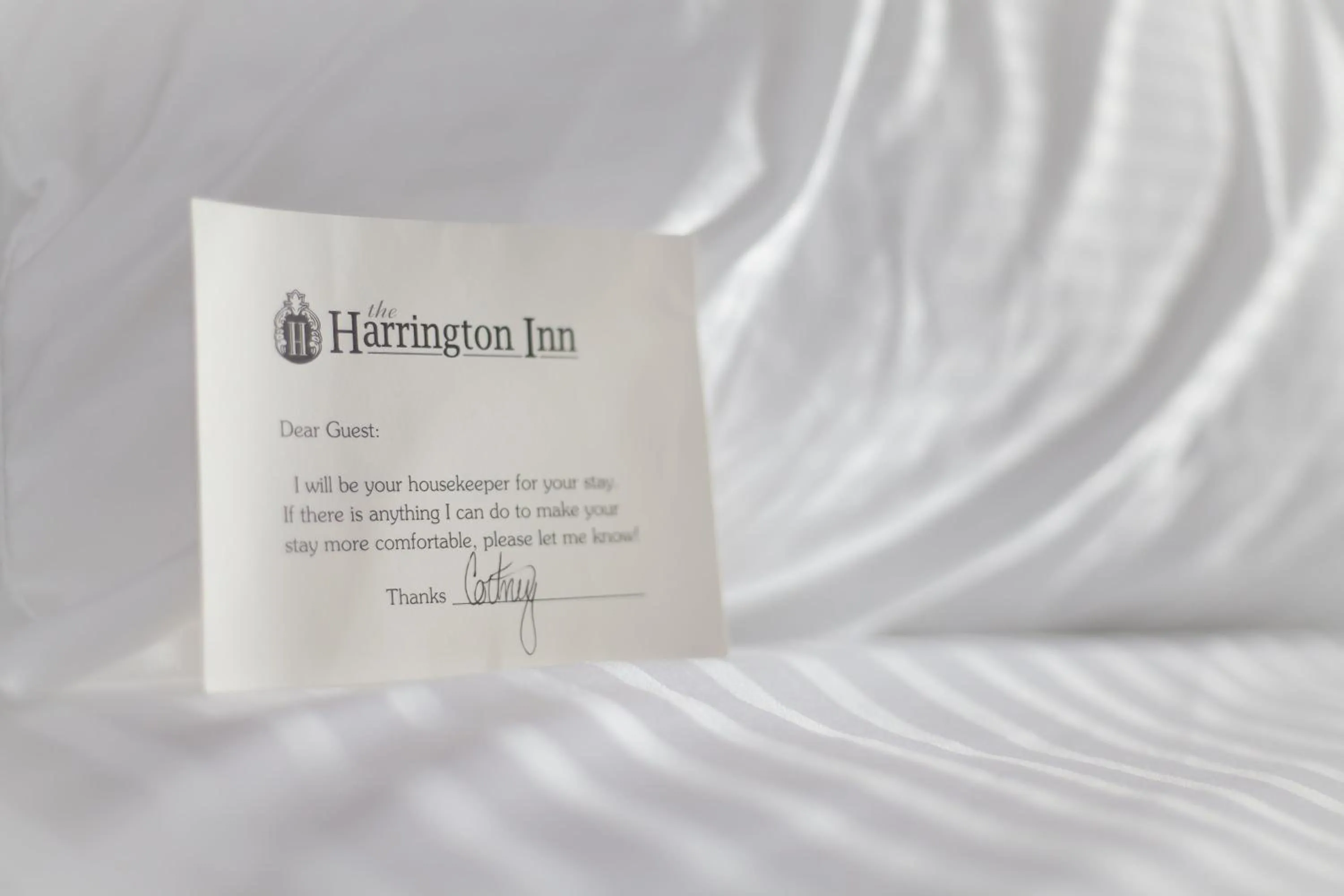 Staff in Harrington Inn